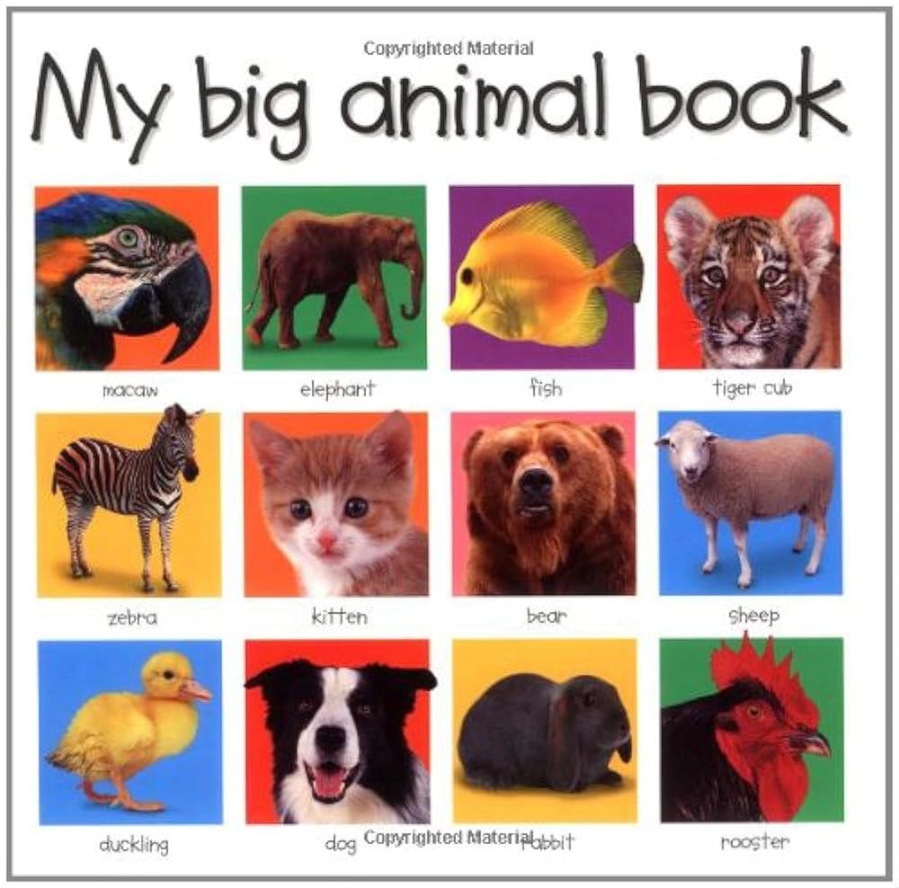 My Big Animal Book cover image