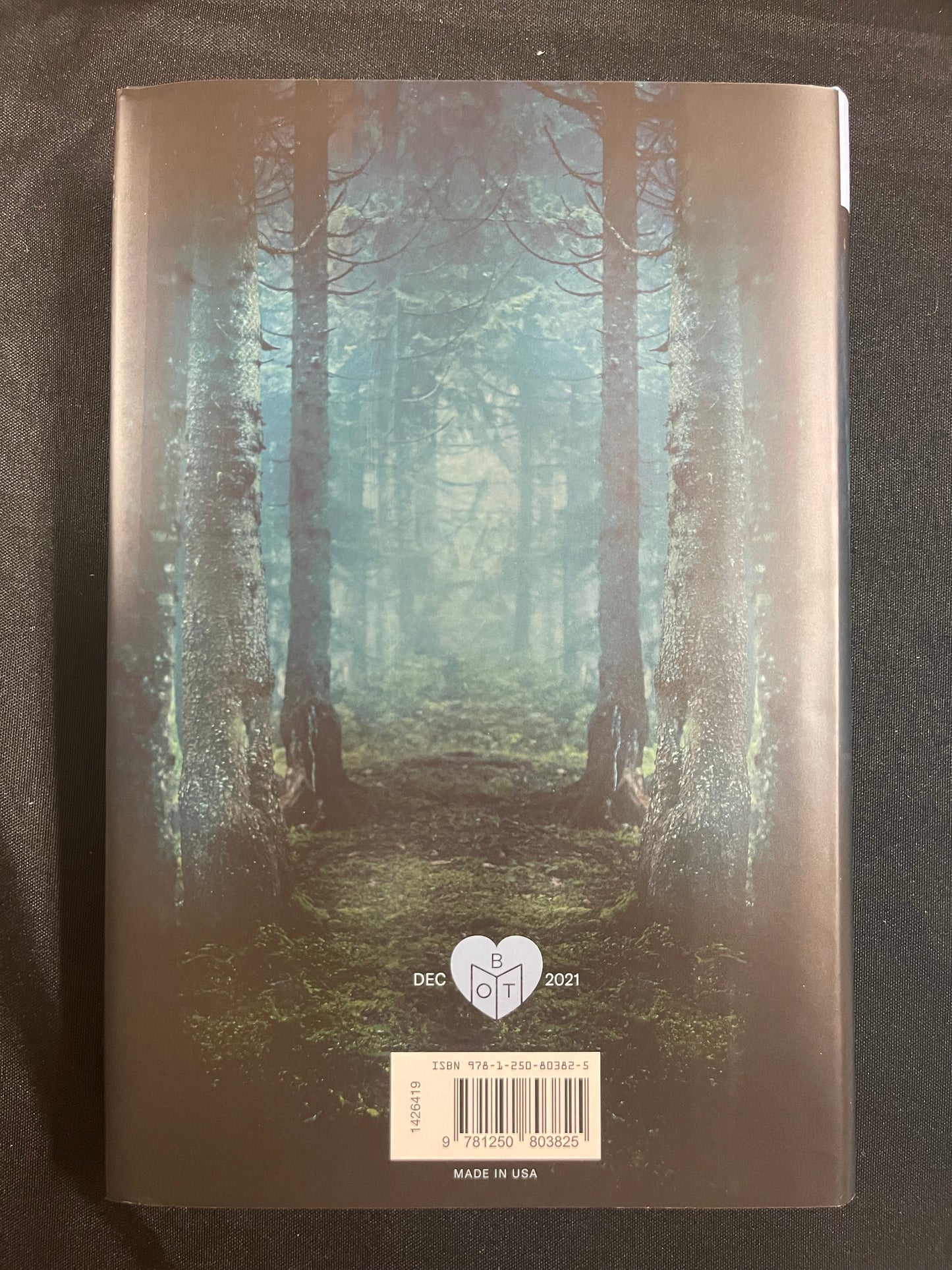 A Flicker in the Dark by Stacy Willingham (Hardcover)