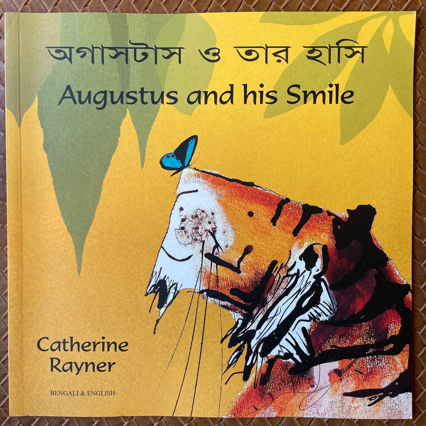Augustus and His Smile by Catherine Rayner