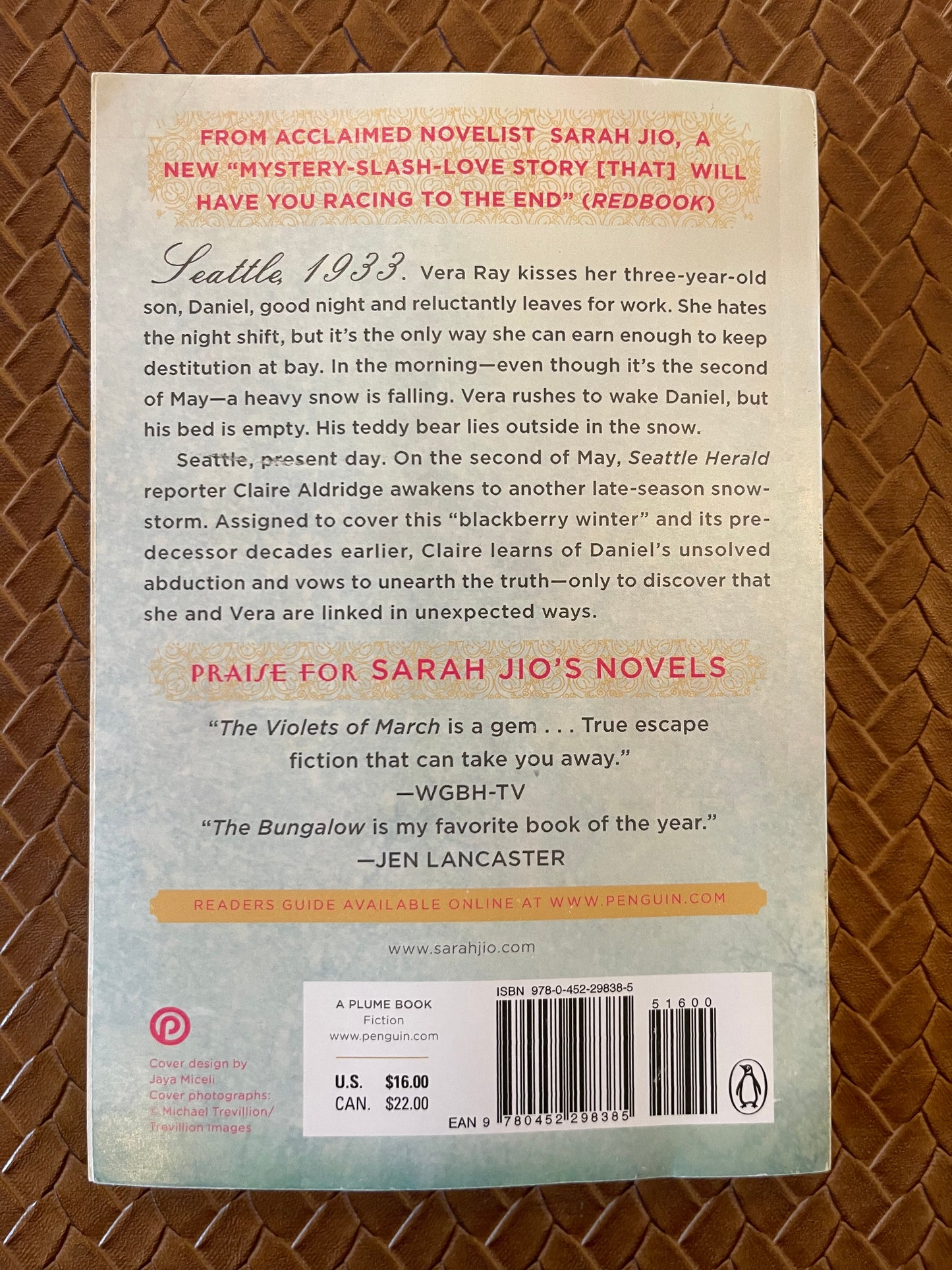 Blackberry Winter by Sarah Jio (Paperback)