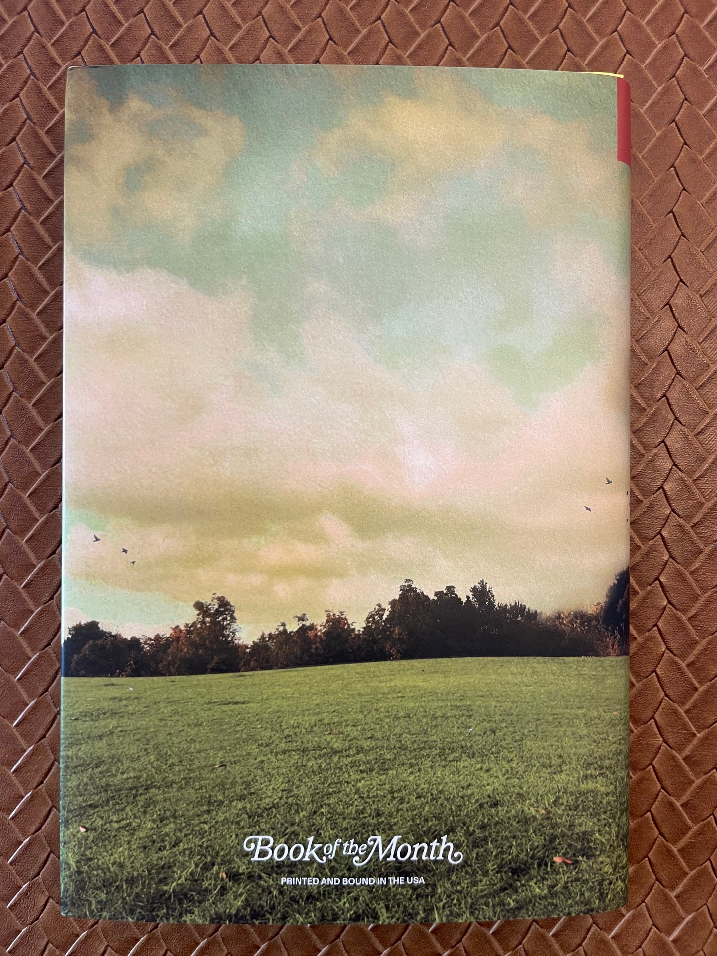 Broken Country by Clare Leslie Hall (Hardcover)