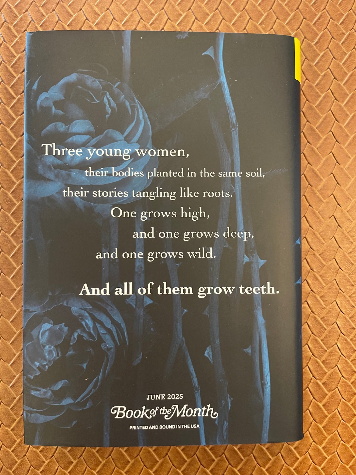 Bury Our Bones in the Midnight Soil by V. E. Schwab (Hardcover)