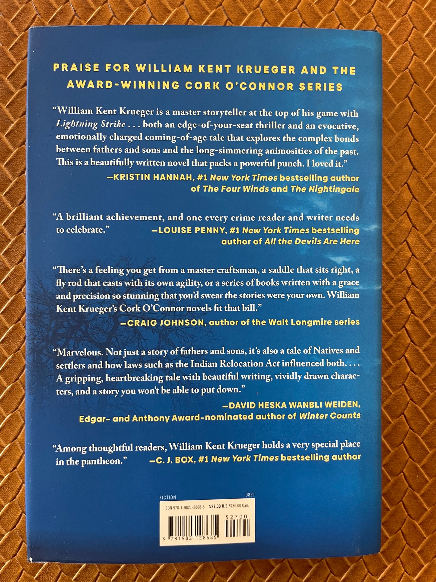 Cork O'Connor #18: Lightning Strike by William Kent Krueger (Hardcover)