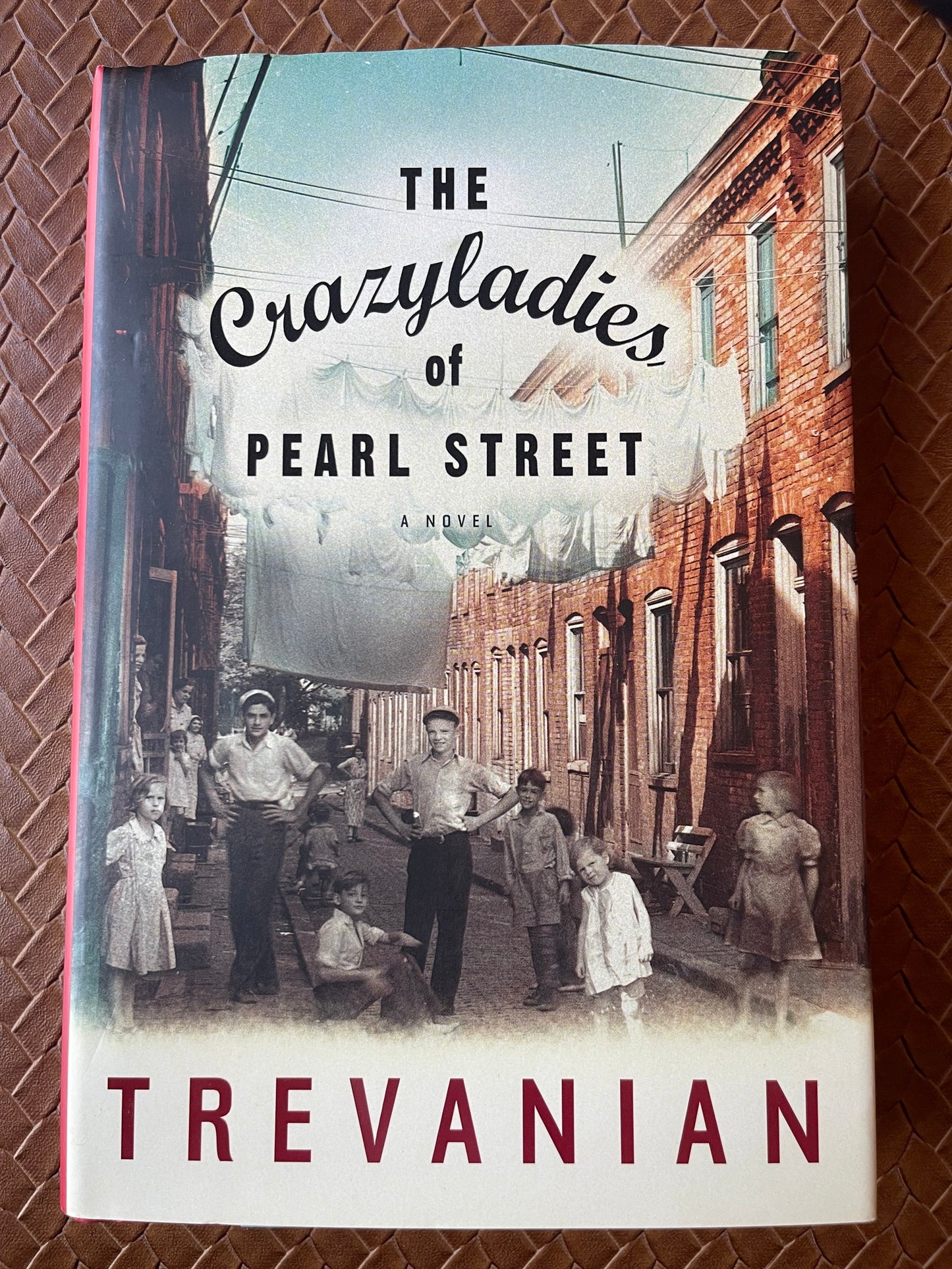 The Crazyladies of Pearl Street by Trevanian