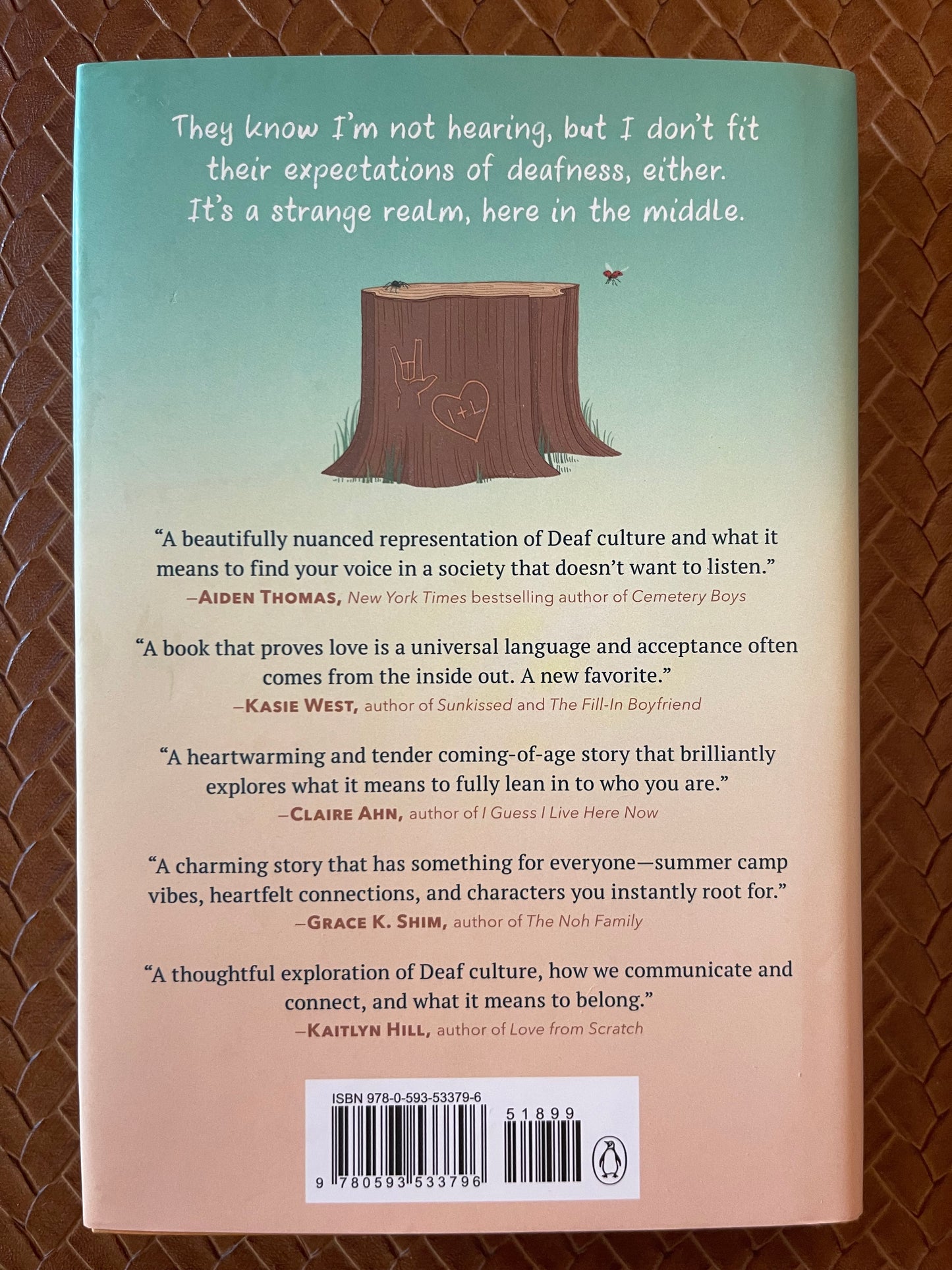 Give Me a Sign by Anna Sortino (Hardcover)