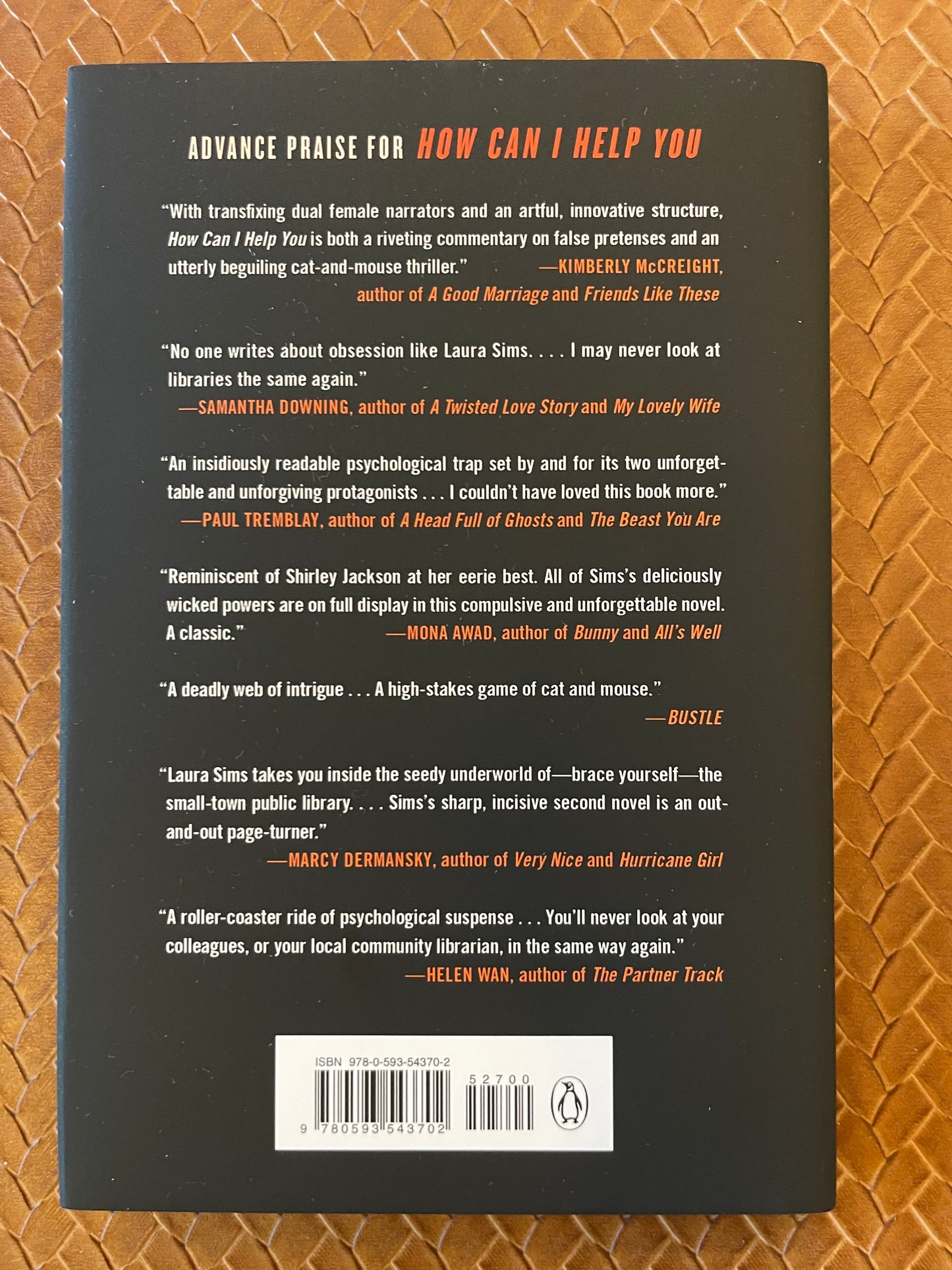 How Can I Help You by Laura Sims (Hardcover)