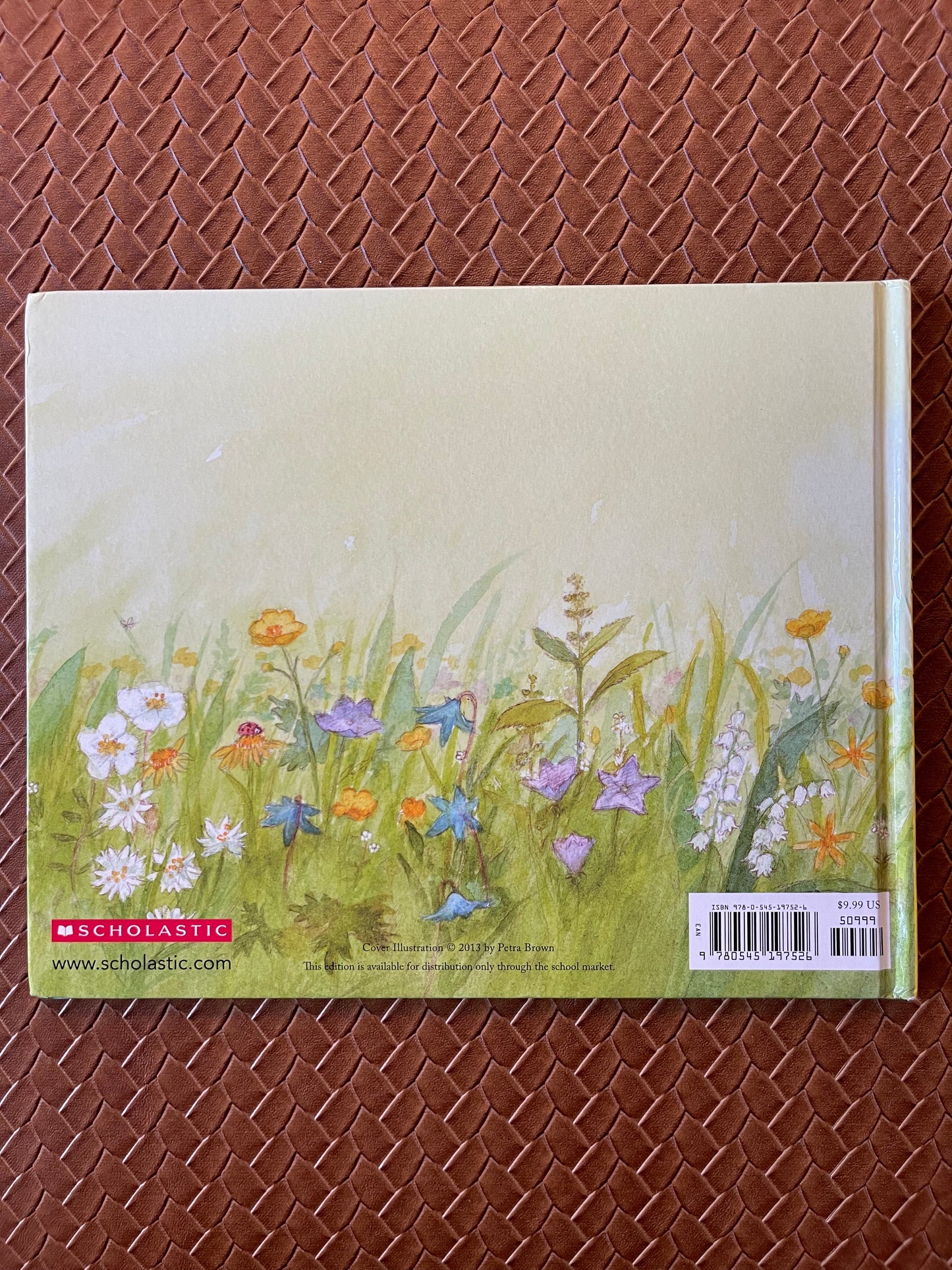 I Will Keep You Safe and Sound by Lori Haskins (Hardcover)