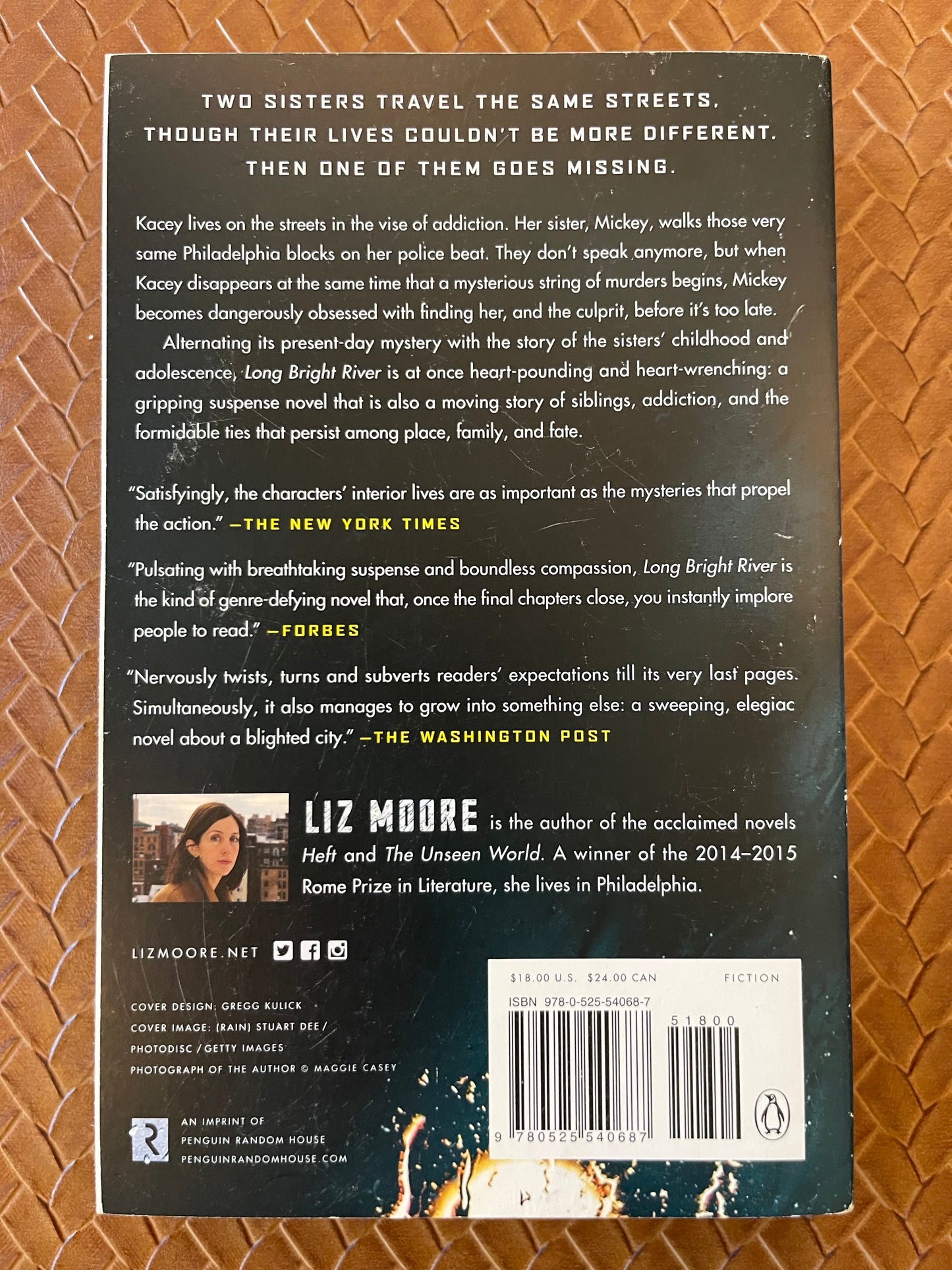 Long Bright River by Liz Moore (Paperback)