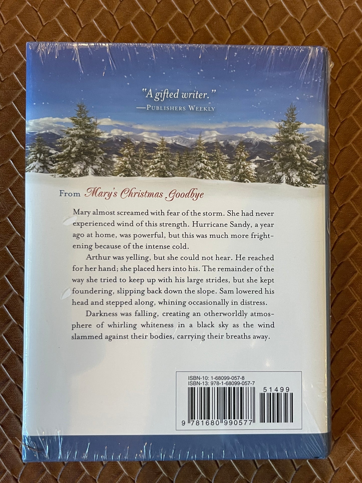 Mary's Christmas Goodbye by Linda Byler (Hardcover)