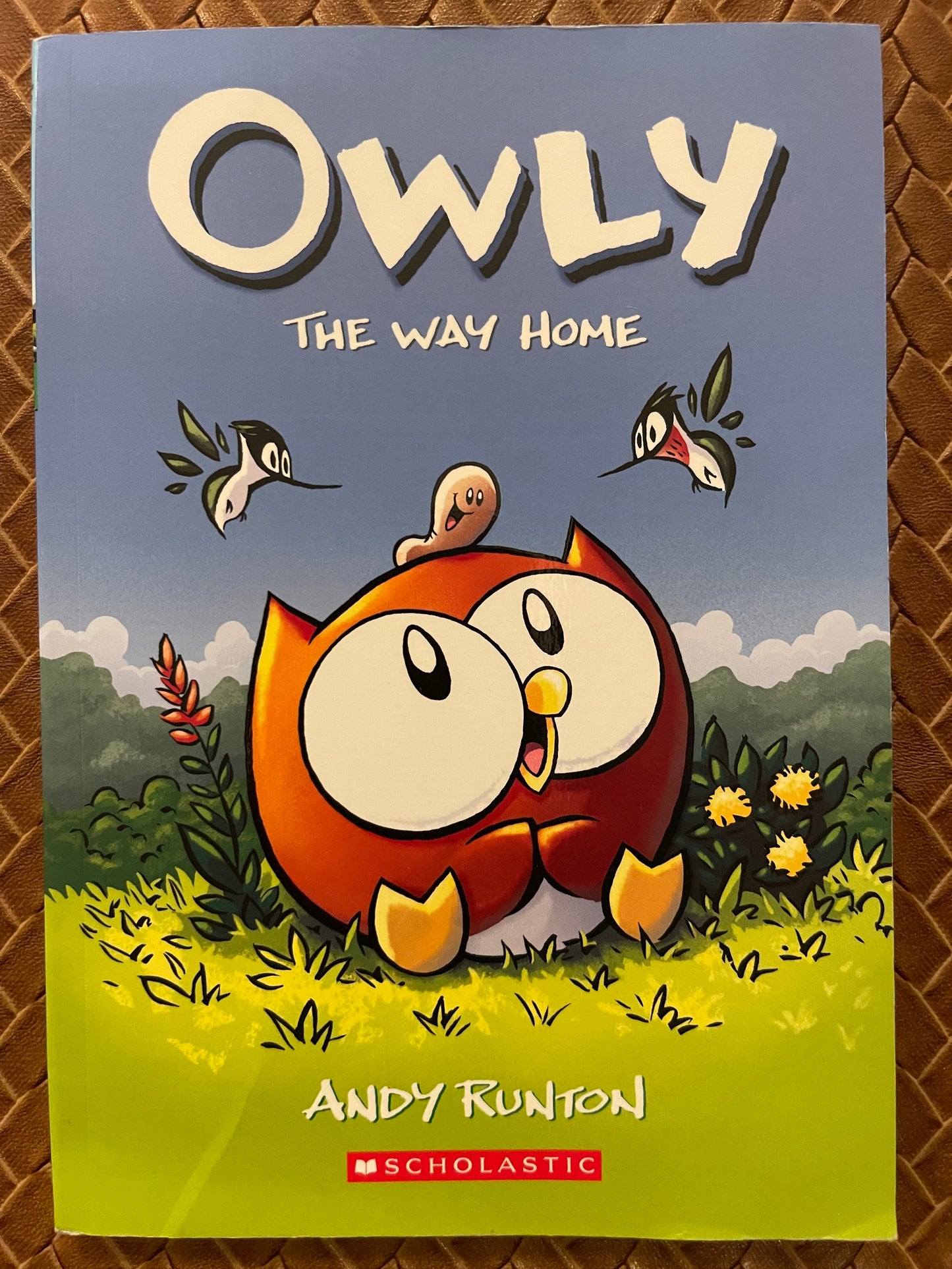 The Way Home (Owly #1) by Andy Runton