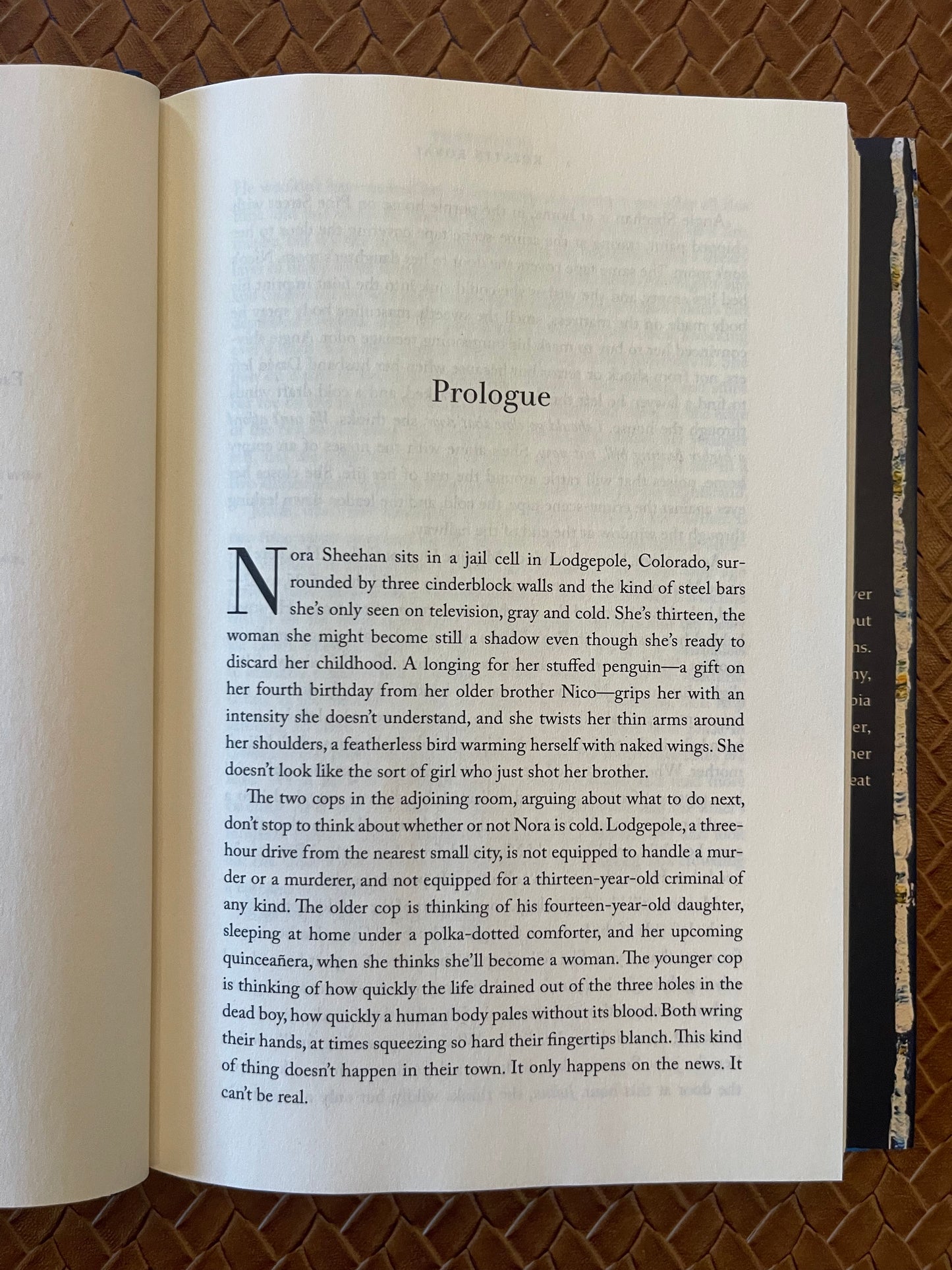 Penitence by Kristin Koval (Hardcover)