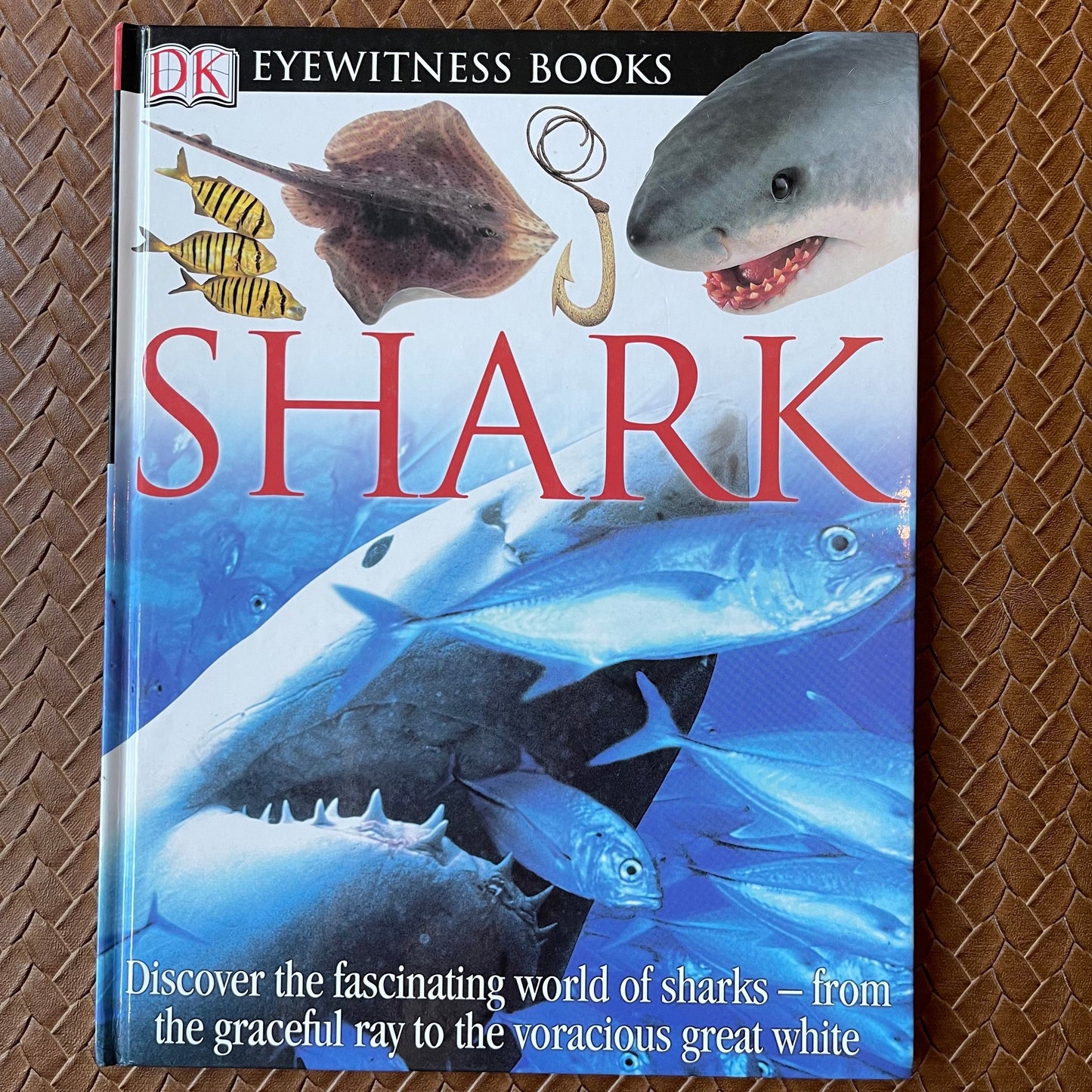 Shark (DK Eyewitness Books) by Miranda MacQuitty (2004)
