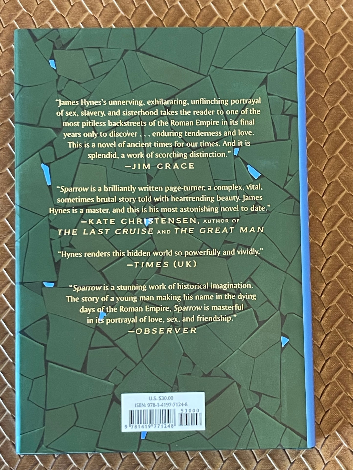 Sparrow by James Hynes (Hardcover)
