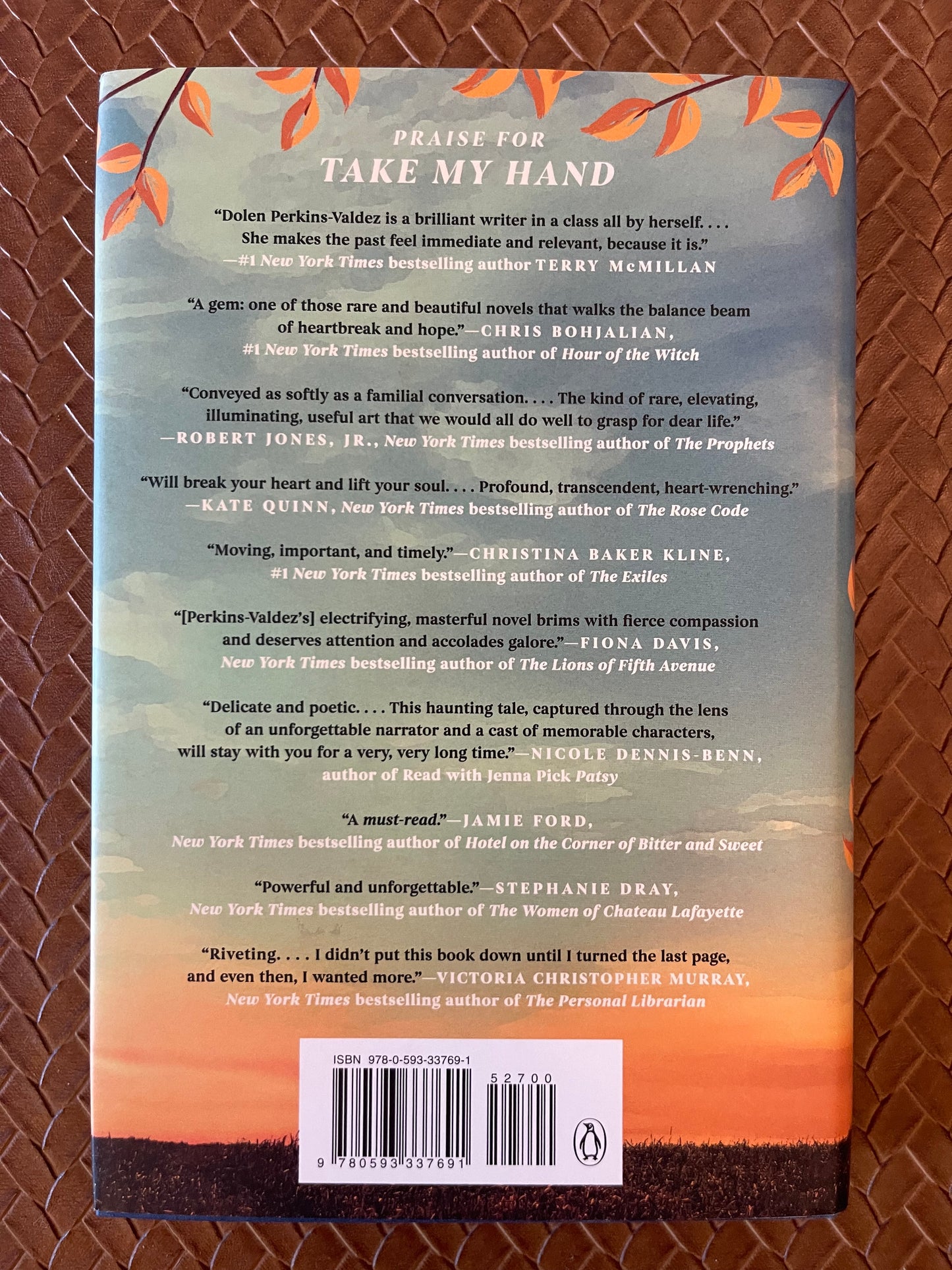 Take My Hand by Dolen Perkins-Valdez (Hardcover)