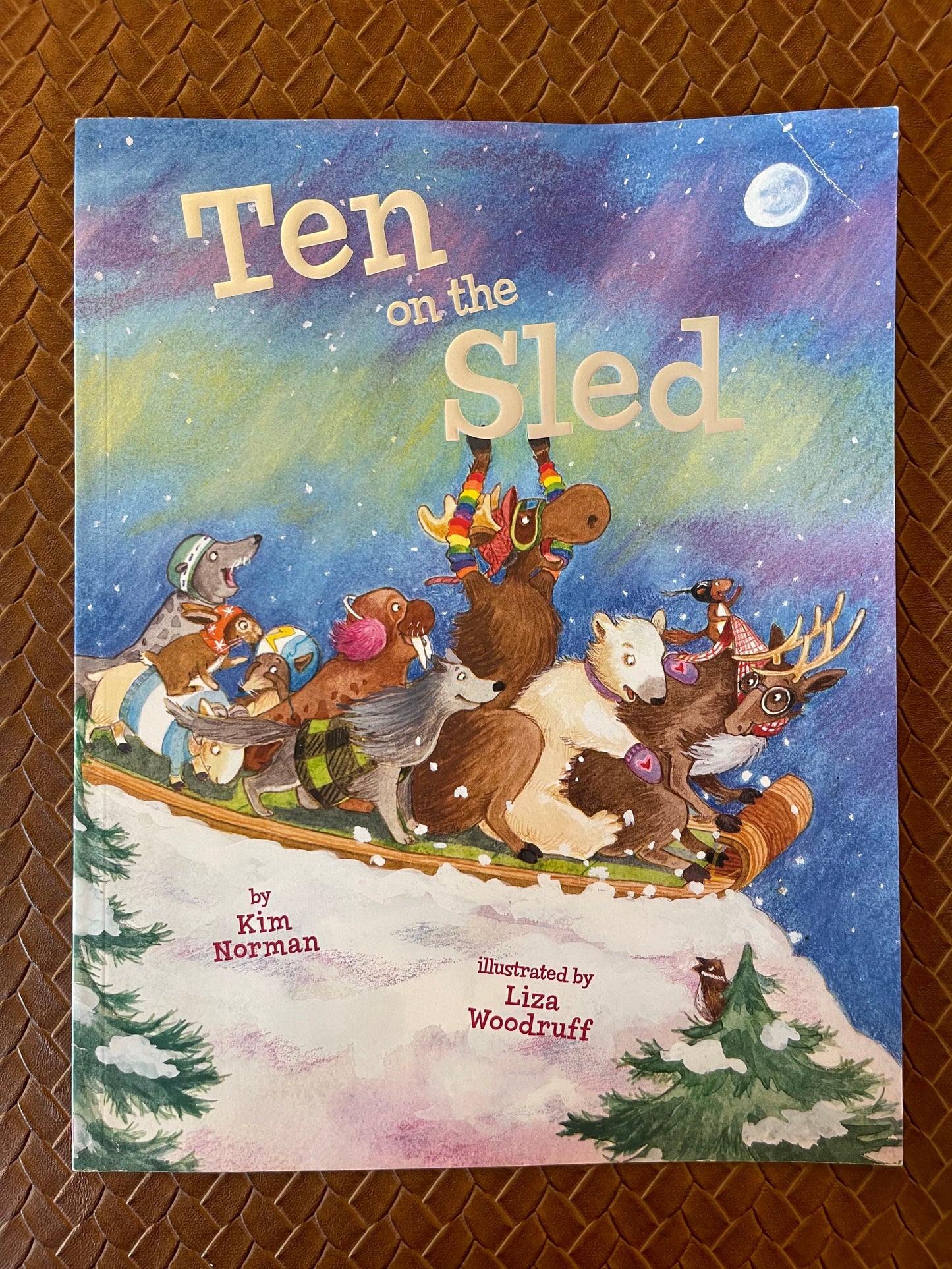 Ten on the Sled by Kim Norman Liza Woodruff (Illustrator)