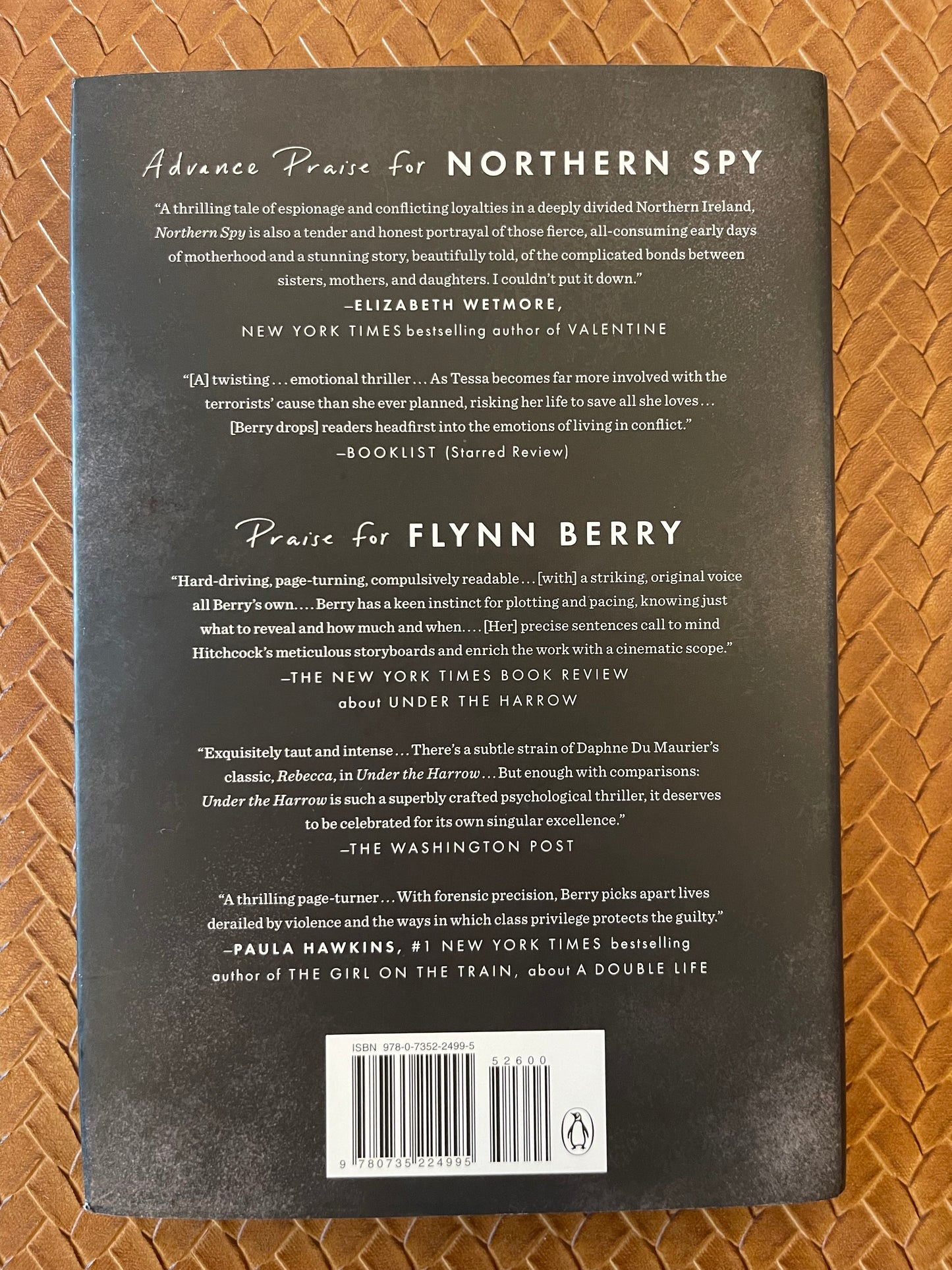 Tessa Daly #1: Northern Spy by Flynn Berry (Hardcover)