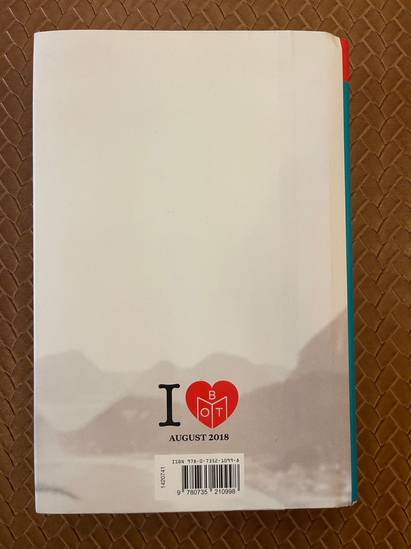 The Air You Breathe by Frances de Pontes Peebles (Hardcover)