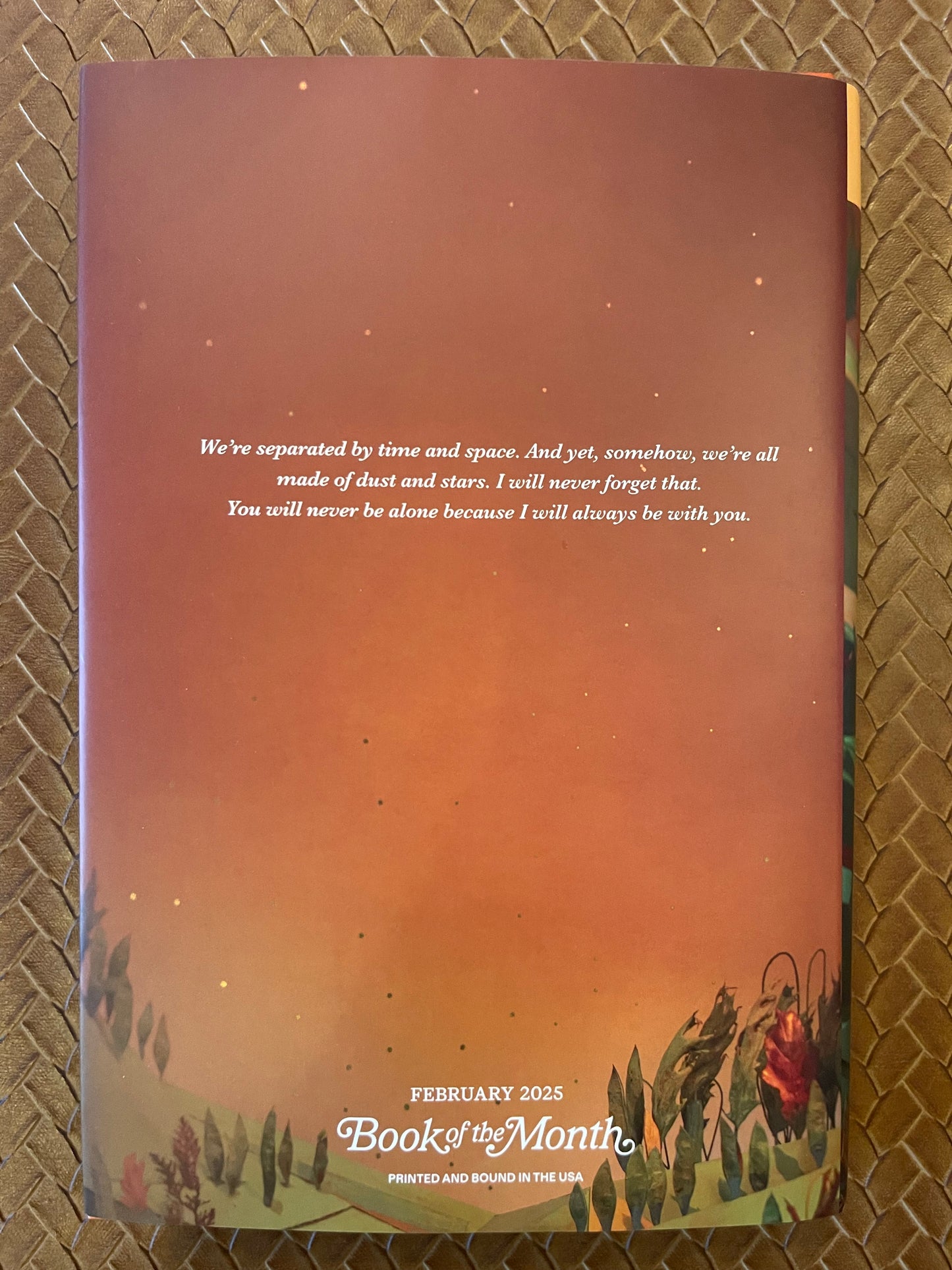 The Bones Beneath My Skin by TJ Klune (Hardcover)