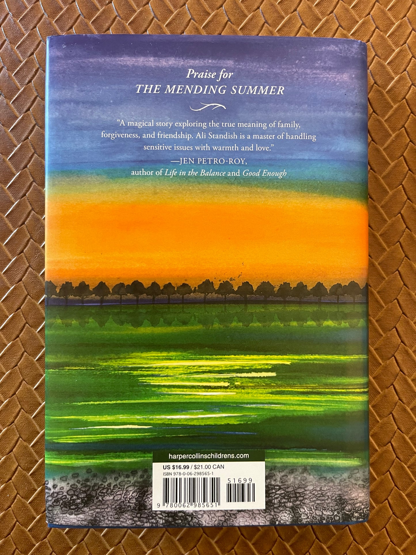The Mending Summer by Ali Standish (Hardcover)