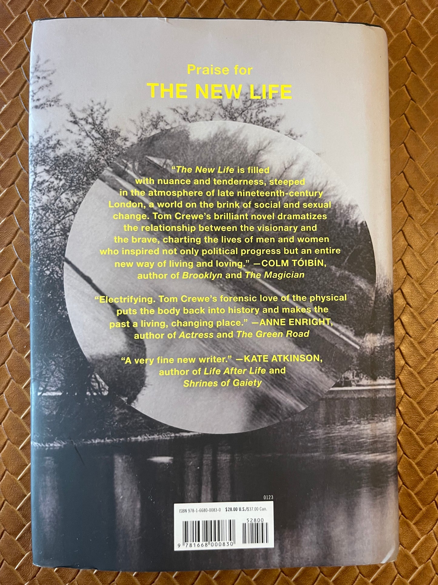 The New Life by Tom Crewe (Hardcover)