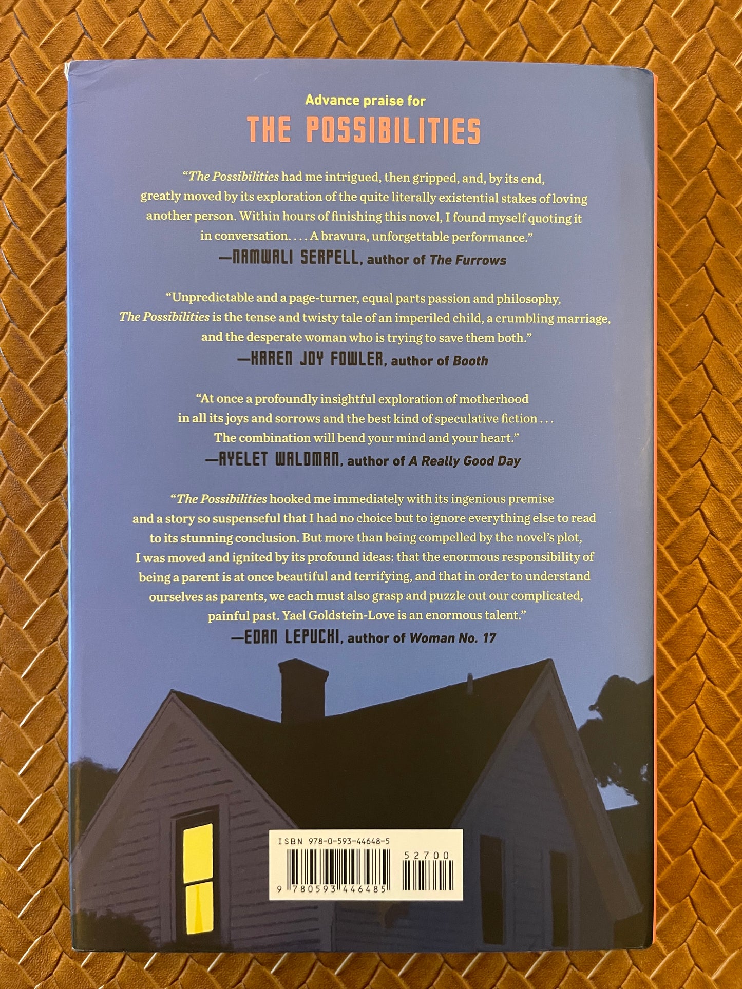 The Possibilities by Yael Goldstein-Love (Hardcover)