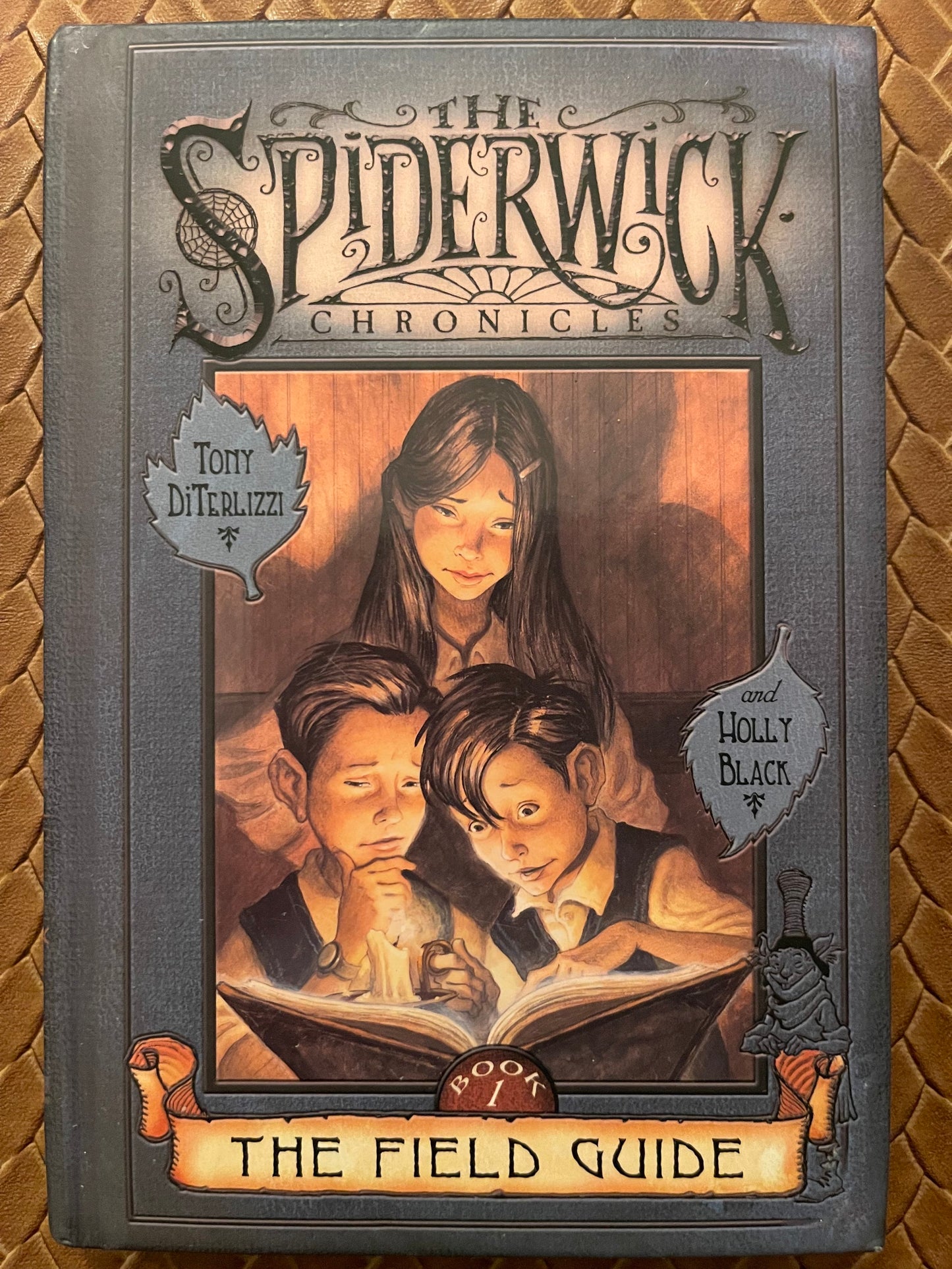 The Spiderwick Chronicles #1: The Field Guide by Tony DiTerlizzi, Holly Black