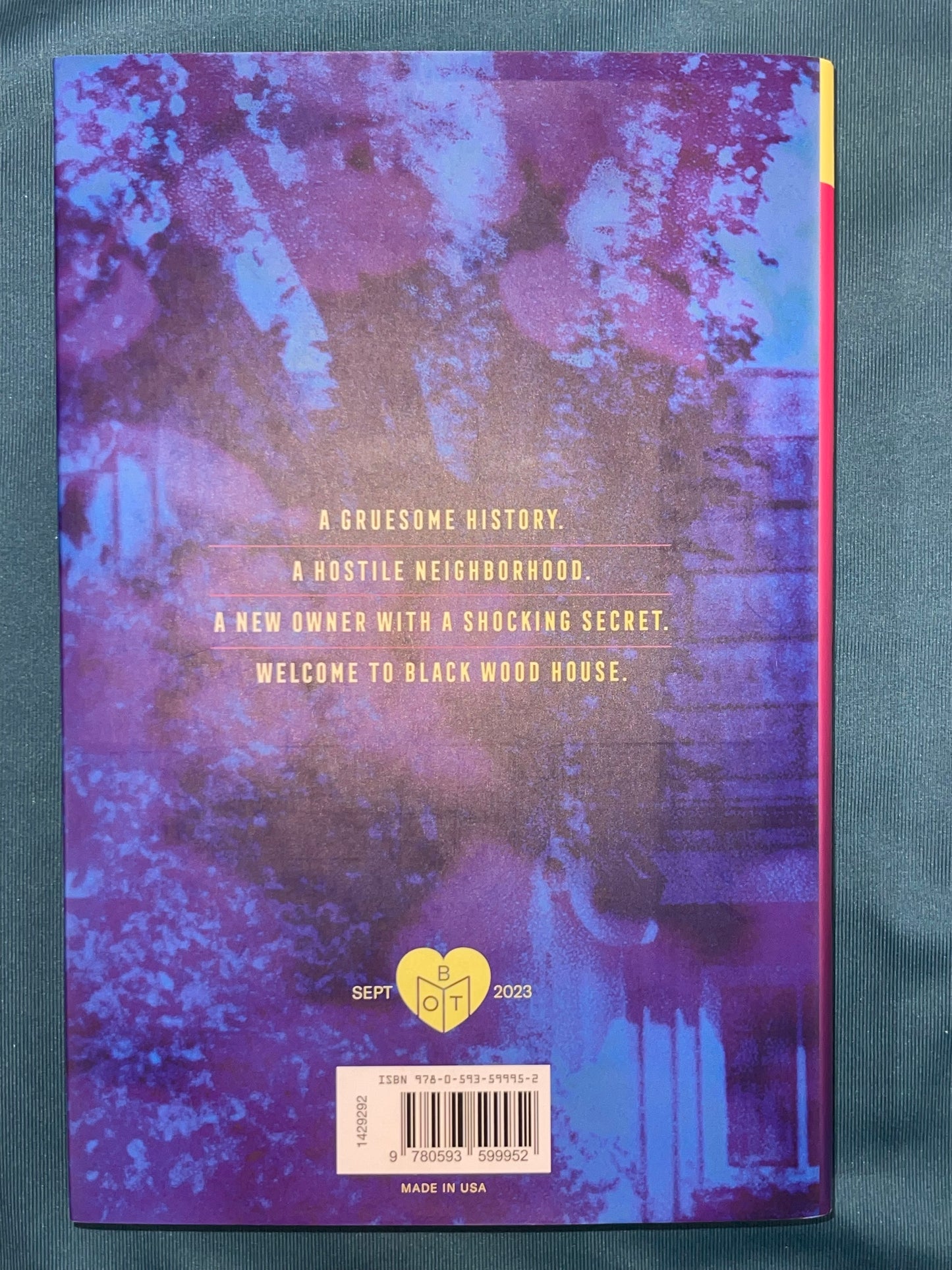 The Stranger Upstairs by Lisa M. Matlin (Hardcover)