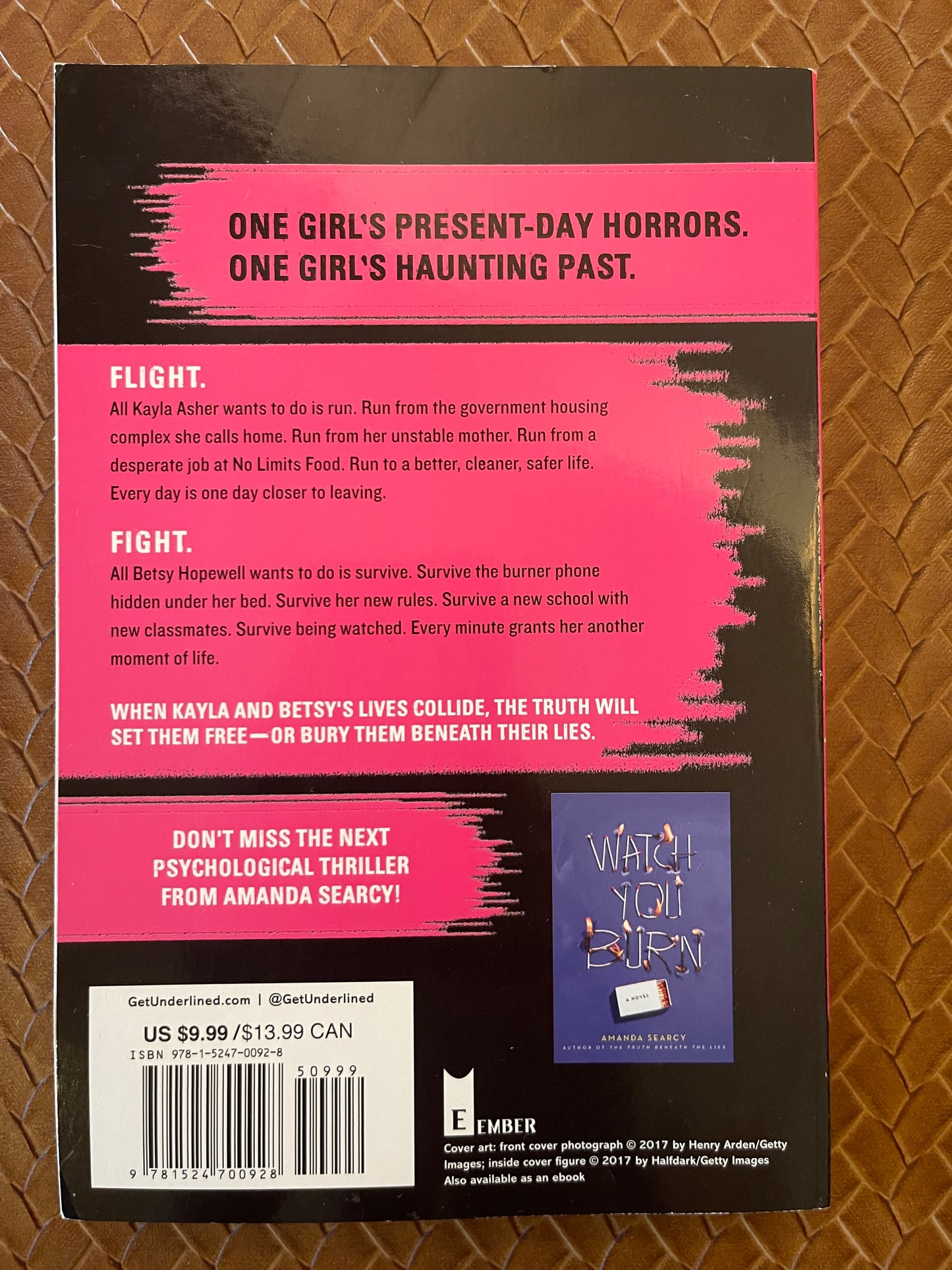 The Truth Beneath the Lies by Amanda Searcy (Paperback)