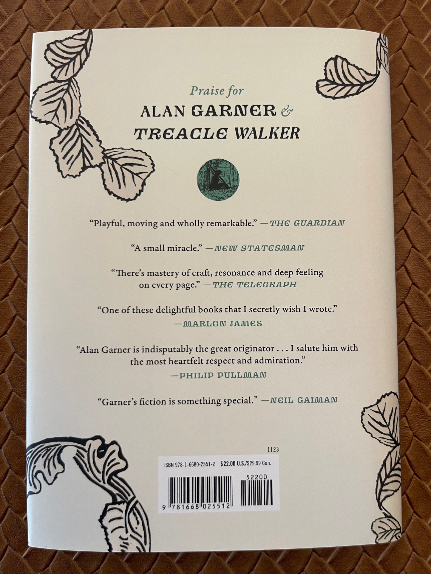 Treacle Walker by Alan Garner (Hardcover)