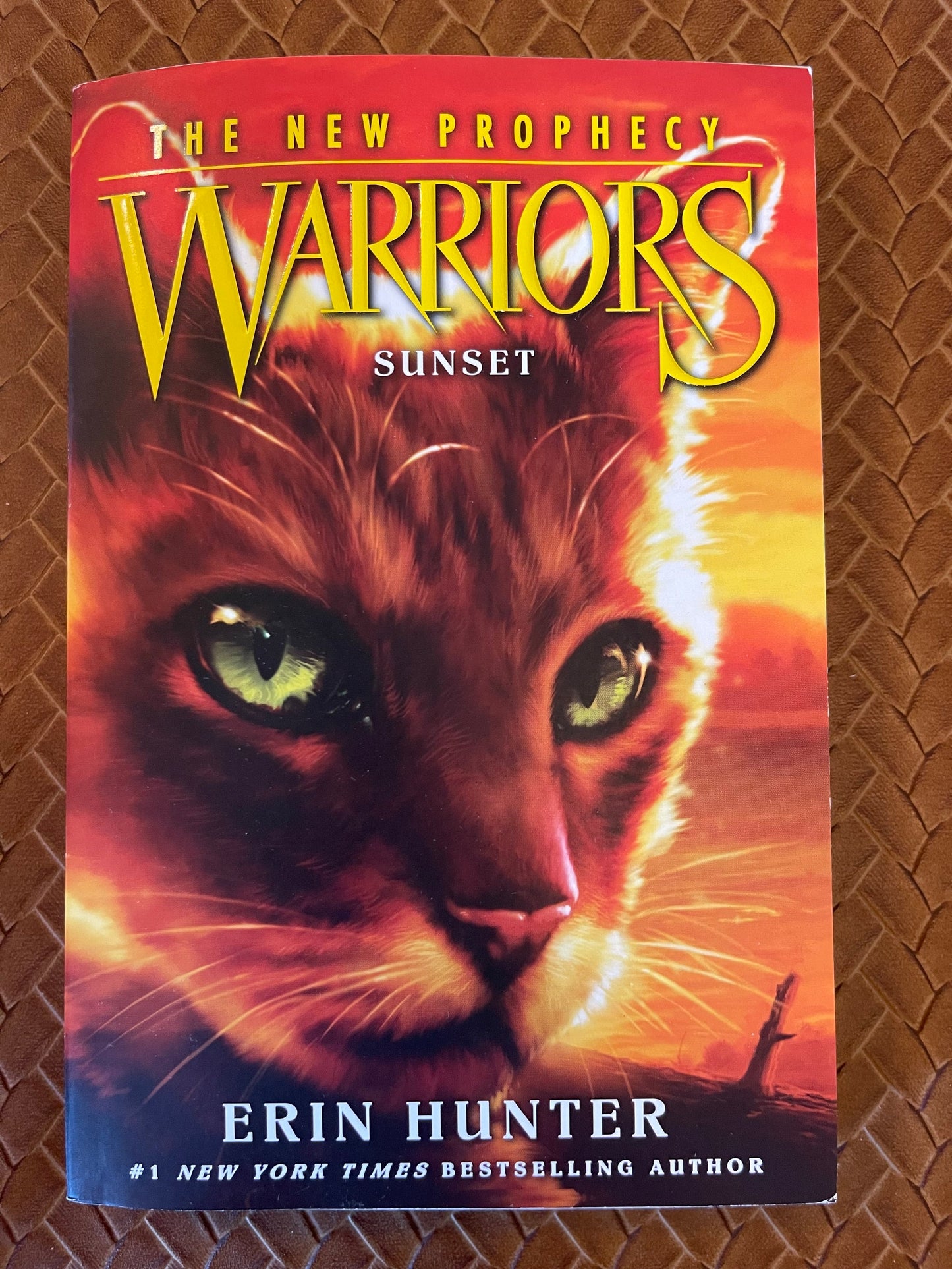 Warriors Second Series