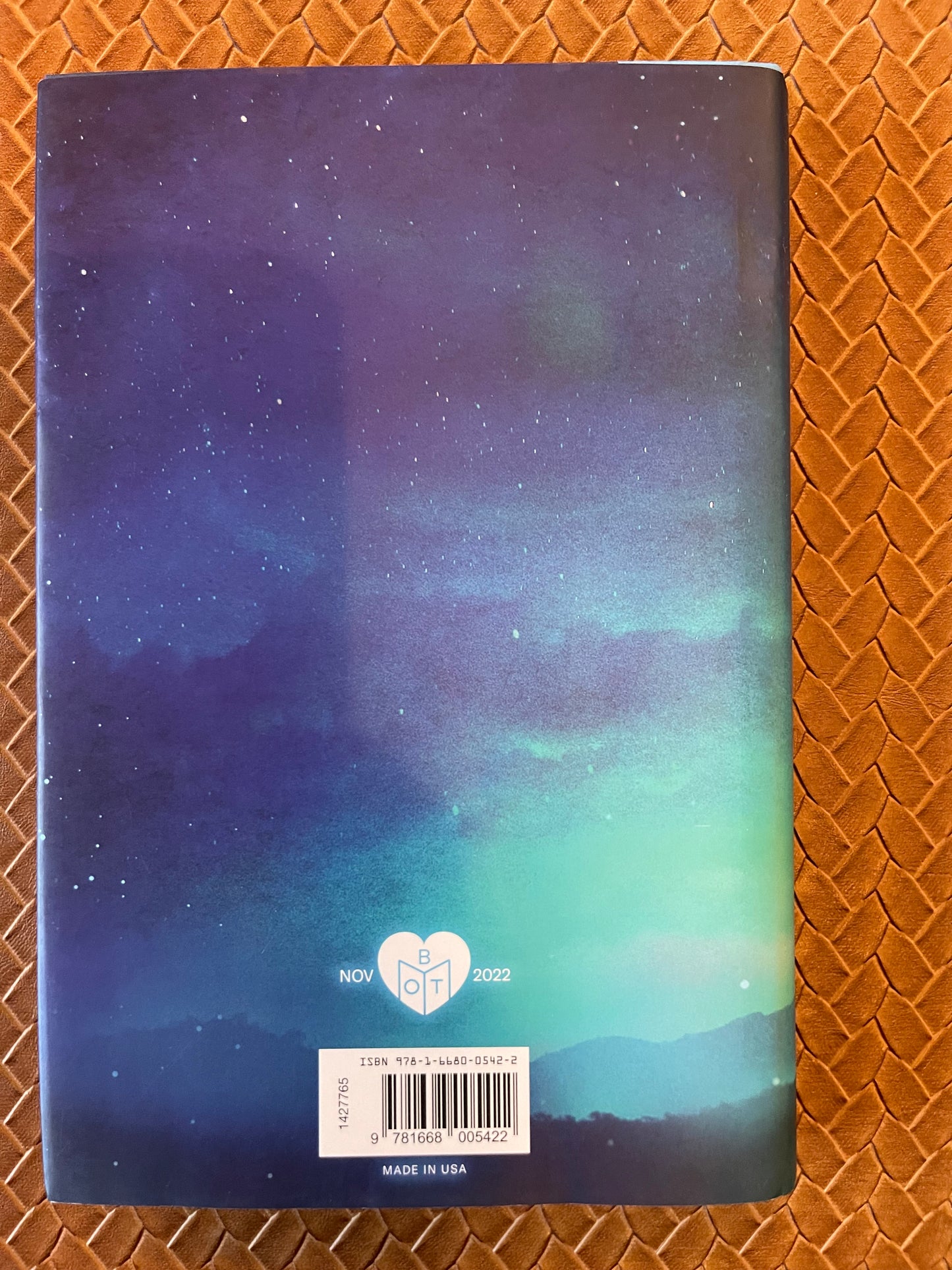 We Are the Light by Matthew Quick (Hardcover)