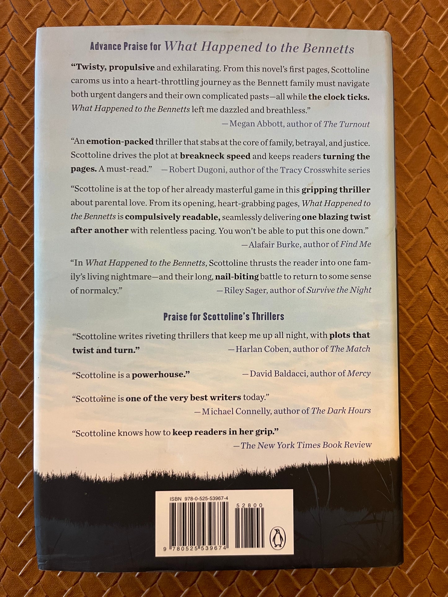 What Happened to the Bennetts by Lisa Scottoline (Hardcover)