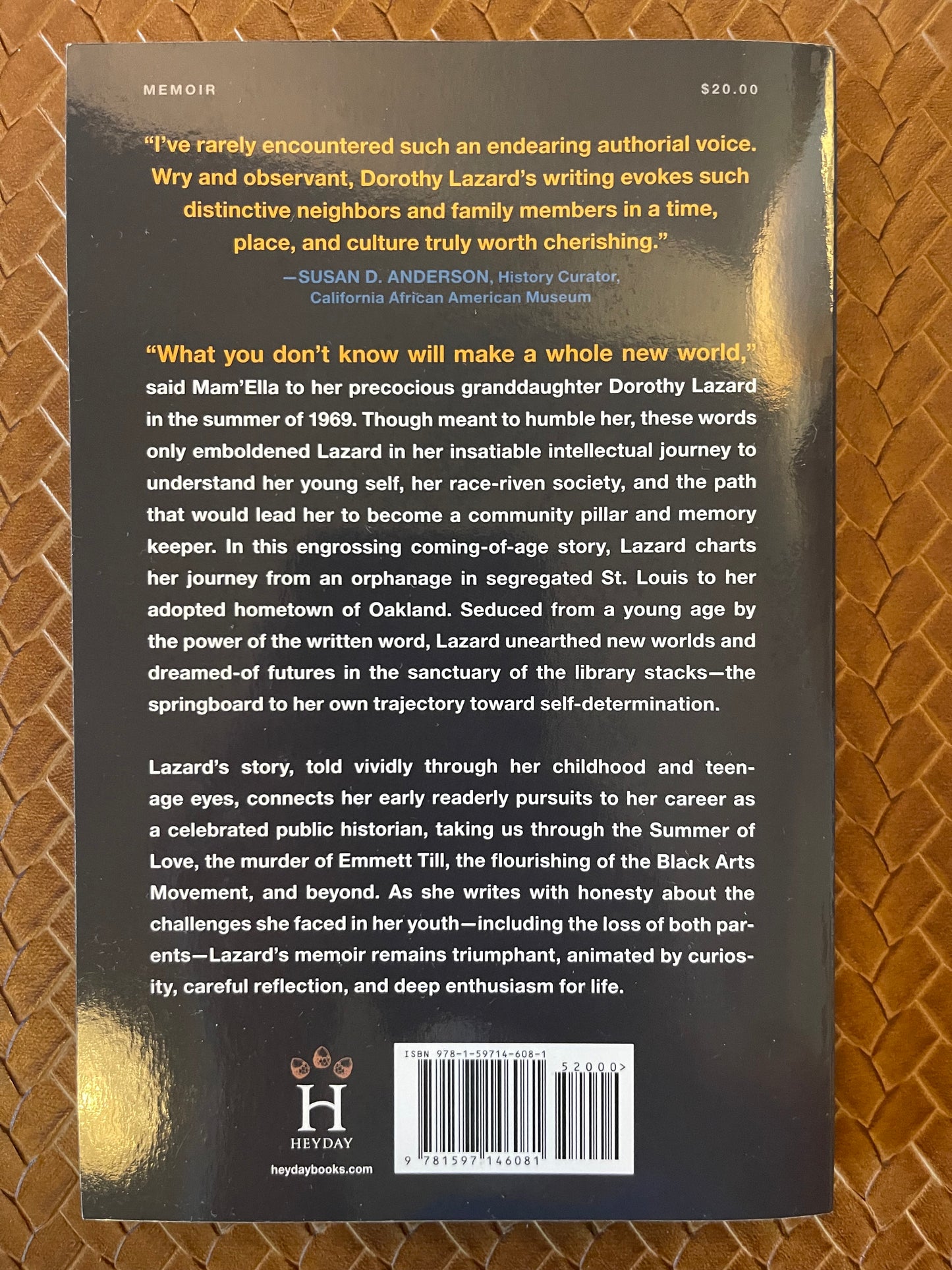 What You Don't Know Will Make a Whole New World: A Memoir by Dorothy Lazard (Paperback)