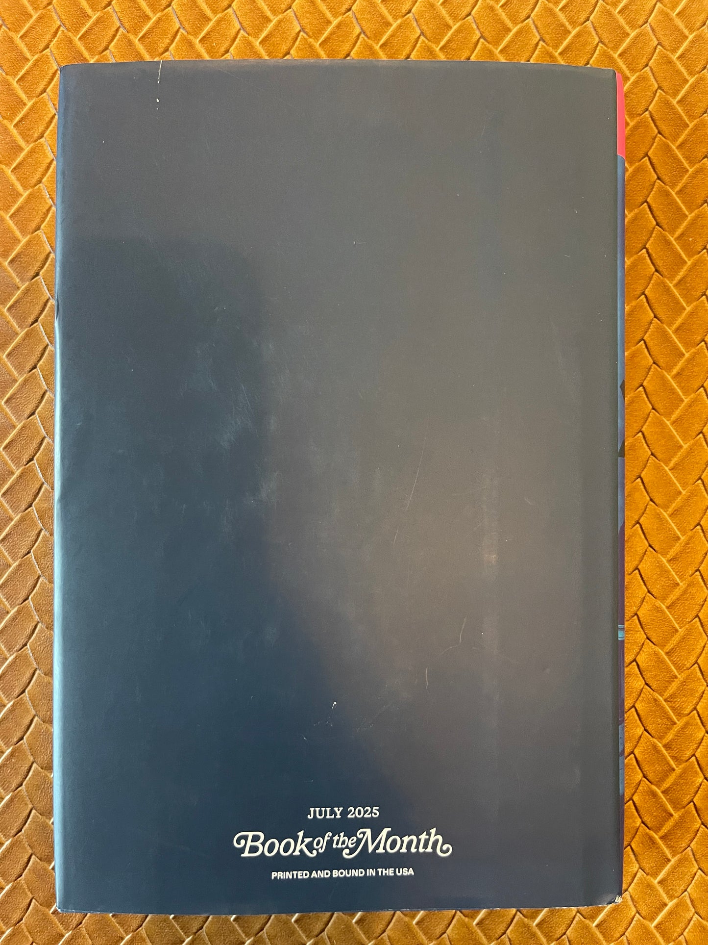 You Belong Here by Megan Miranda (Hardcover)
