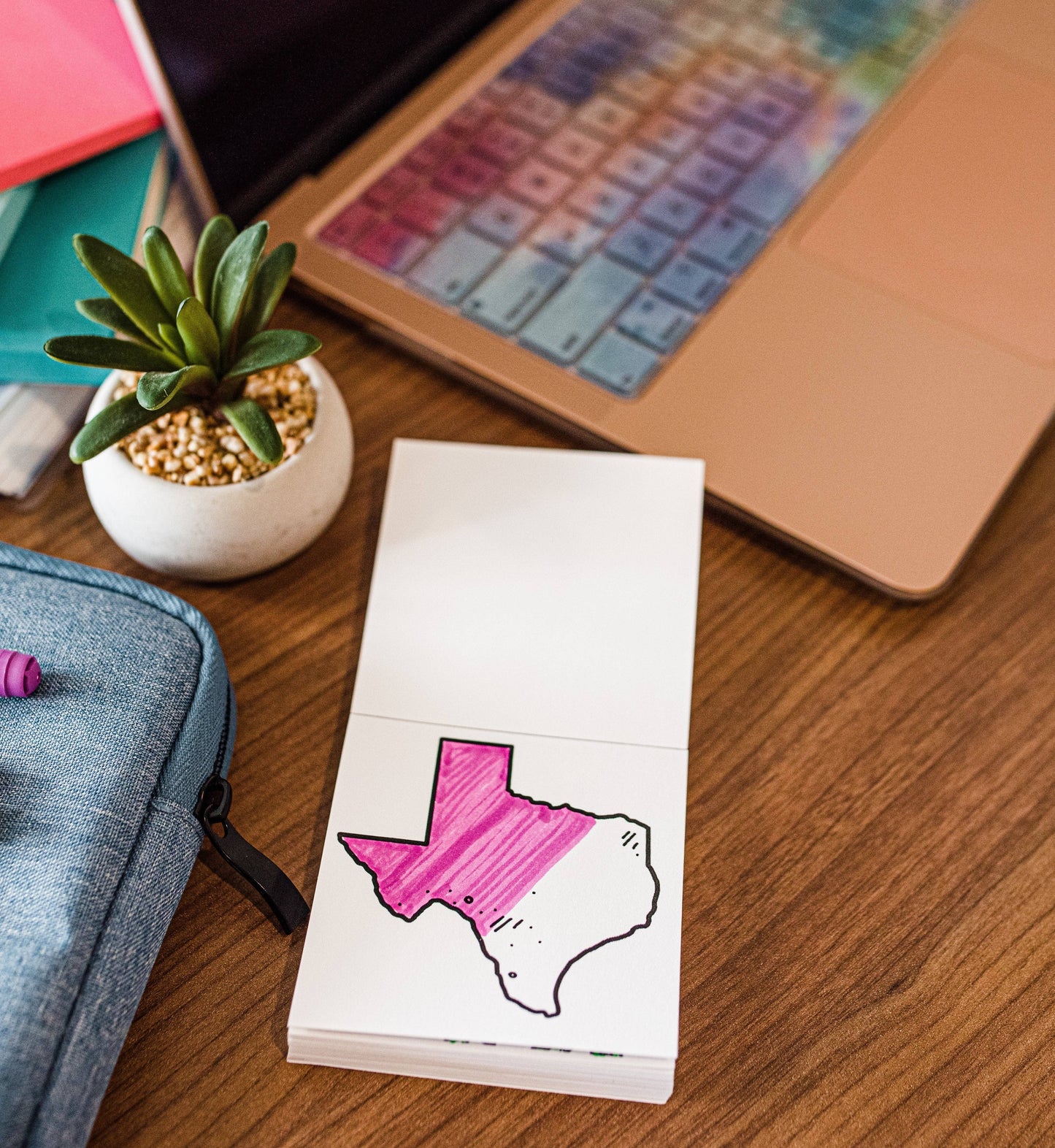 Tiny Texas Mini-Coloring Book