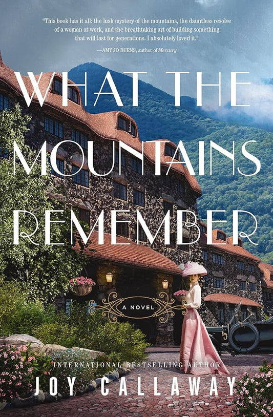 What the Mountains Remember: A Novel cover image