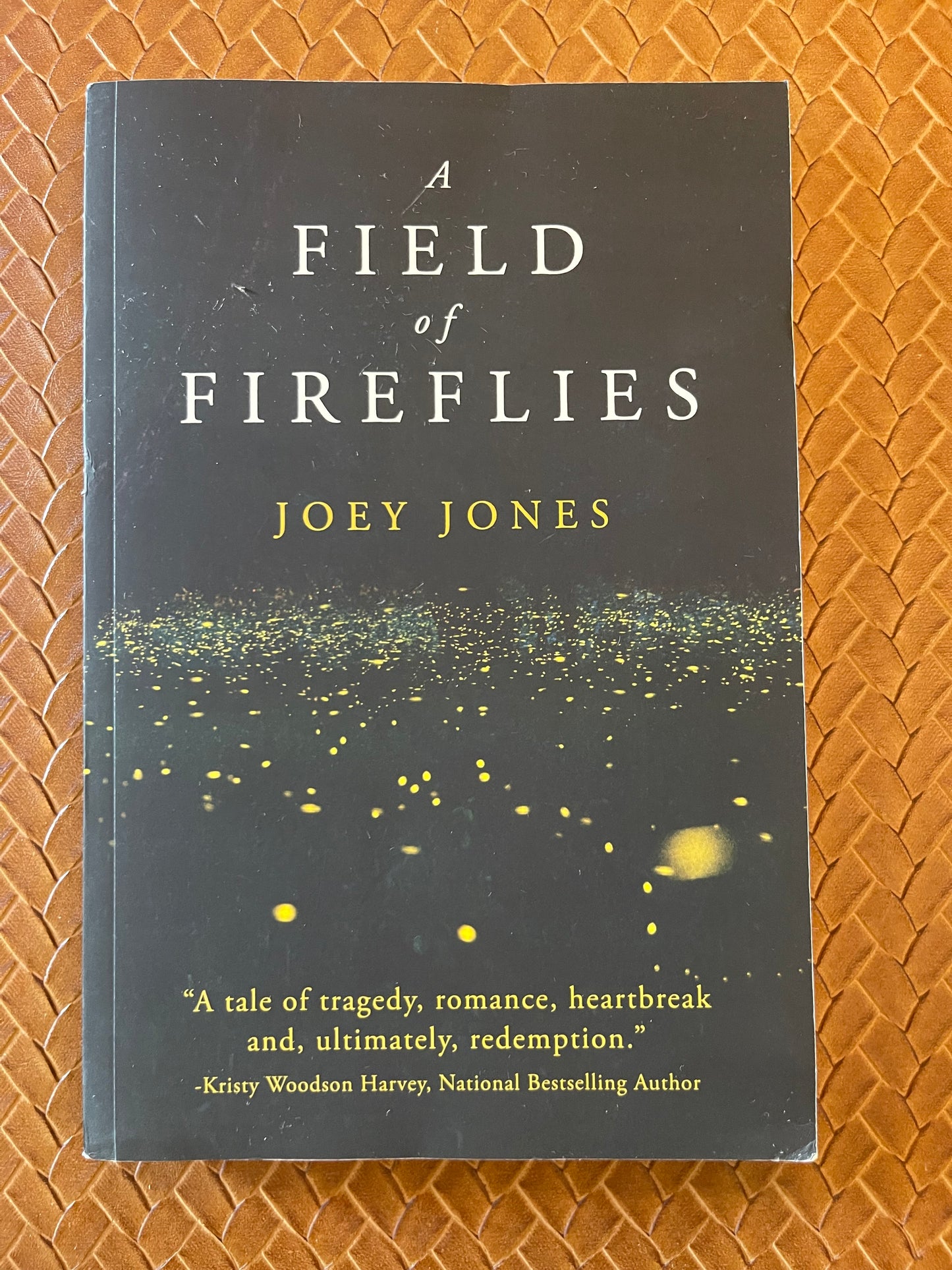 A Field of Fireflies by Joey Jones (Paperback)