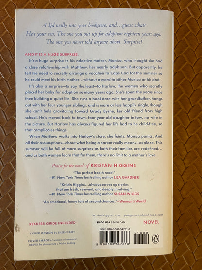 A Little Ray of Sunshine by Kristan Higgins (Paperback)