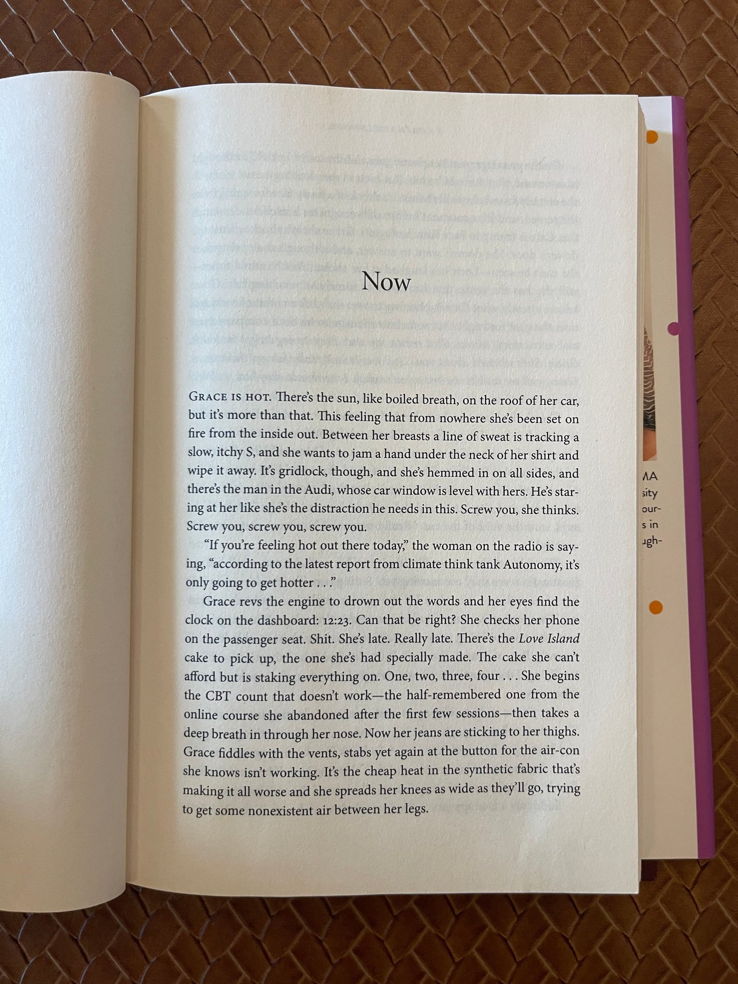 Amazing Grace Adams by Fran Littlewood (Hardcover)