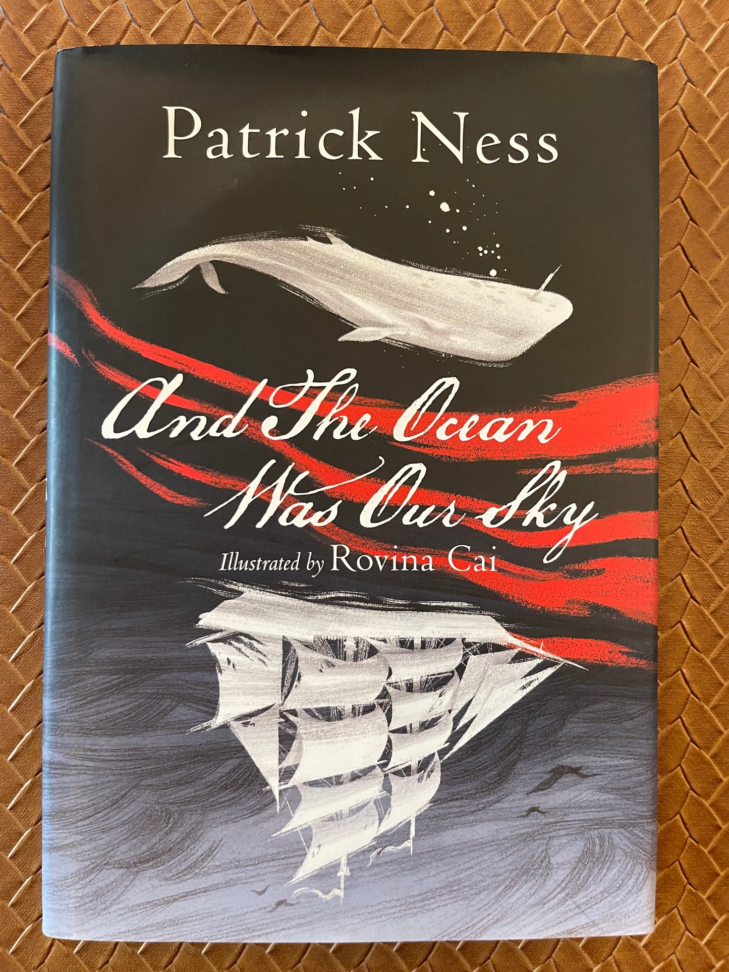 And the Ocean Was Our Sky by Patrick Ness (Hardcover)