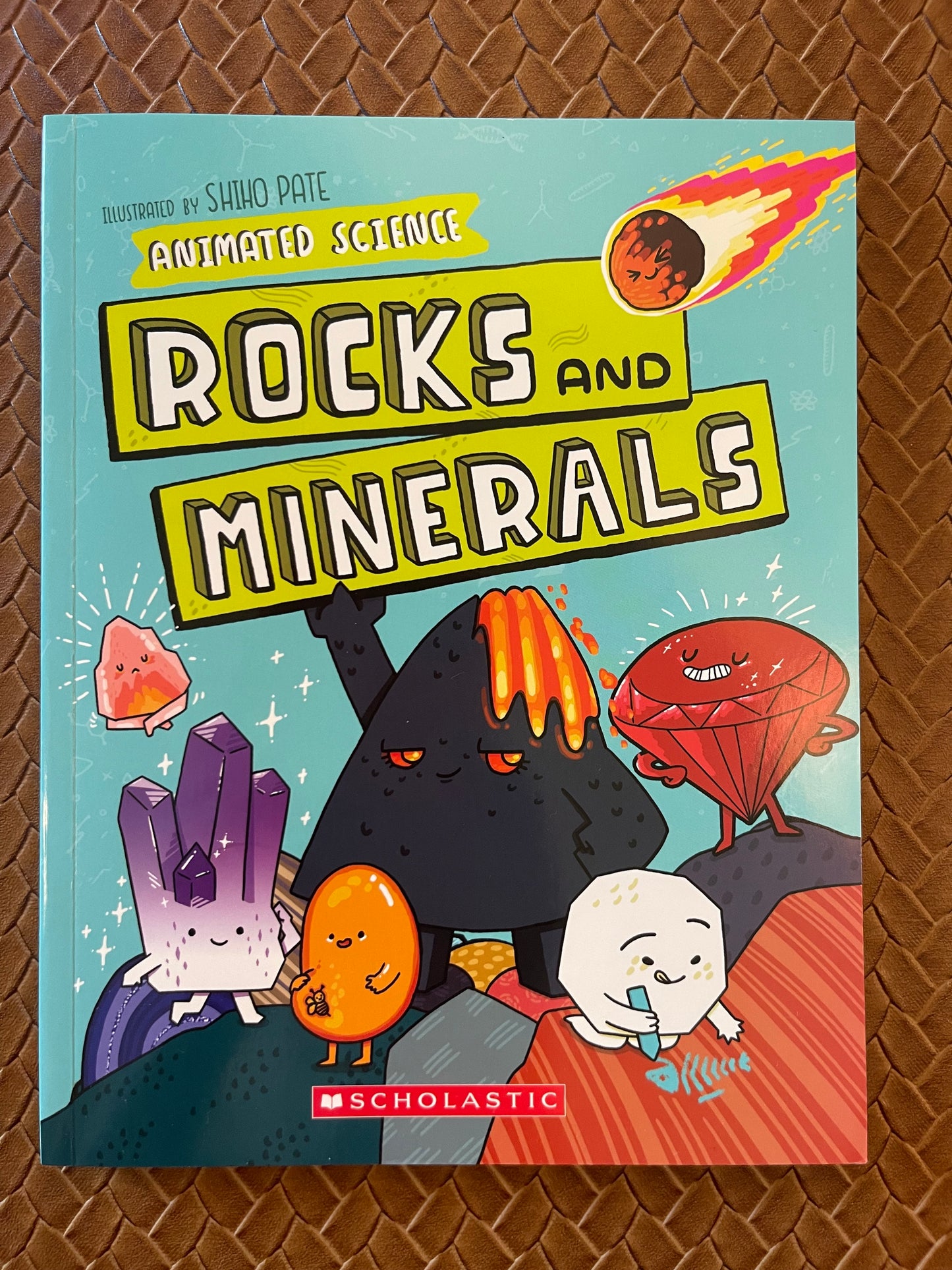 Animated Science: Rocks and Minerals by John Farndon, Shiho Pate (Paperback)