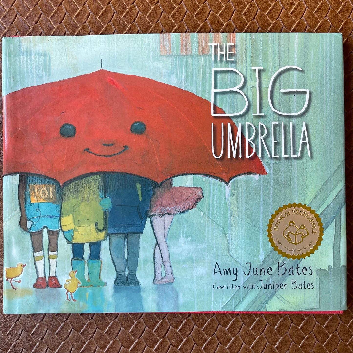 The Big Umbrella by Amy June Bates, Juniper Bates