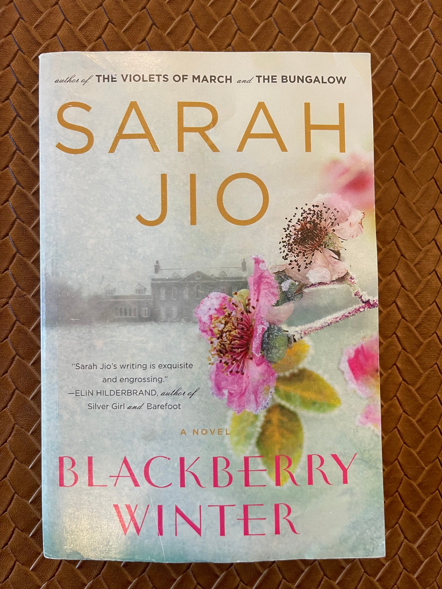 Blackberry Winter by Sarah Jio (Paperback)