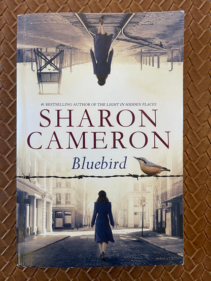 Bluebird by Genevieve Graham (Paperback)