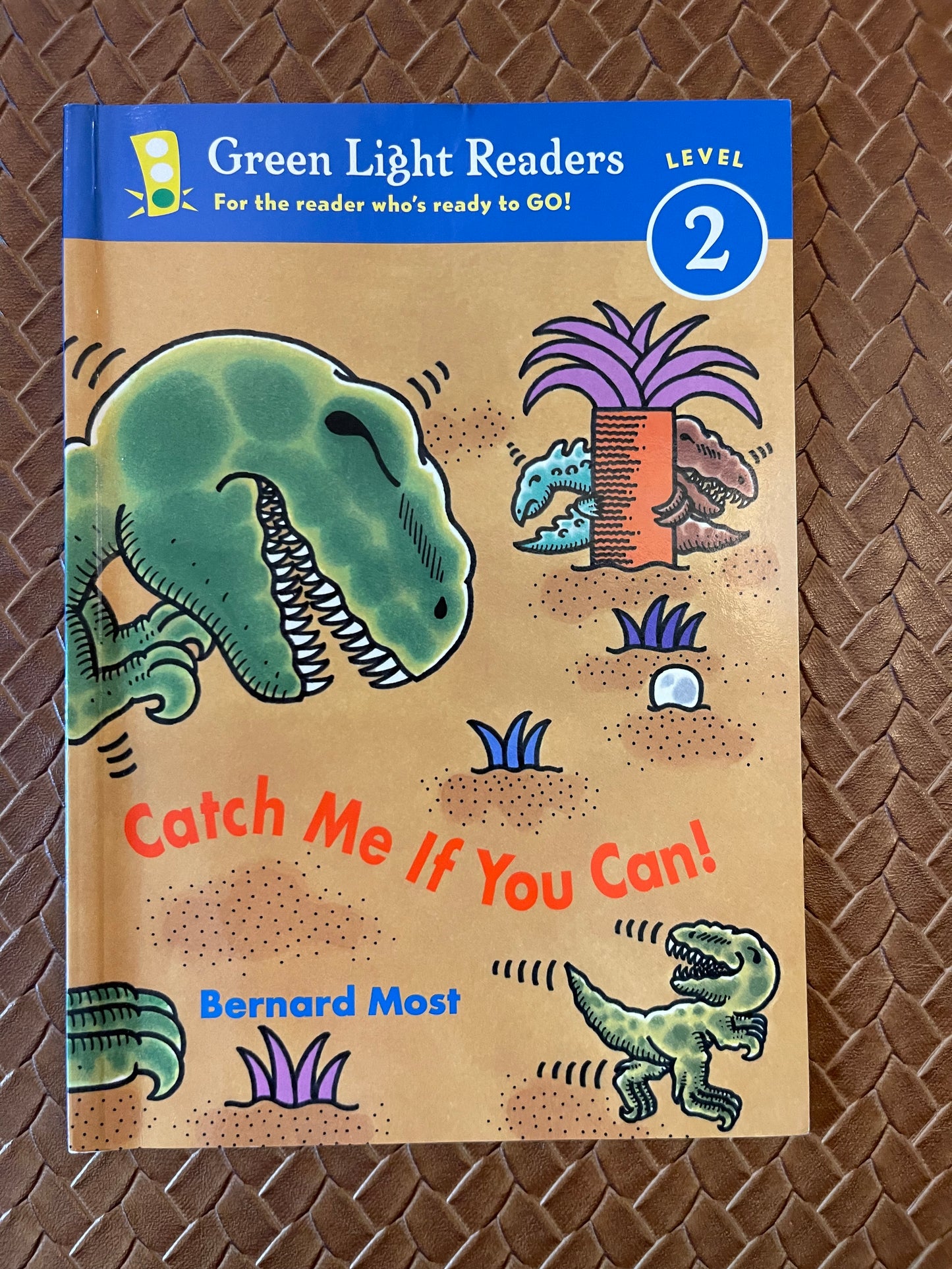 Catch Me If You Can! (Green Light Readers Level 2) by Bernard Most (Paperback)
