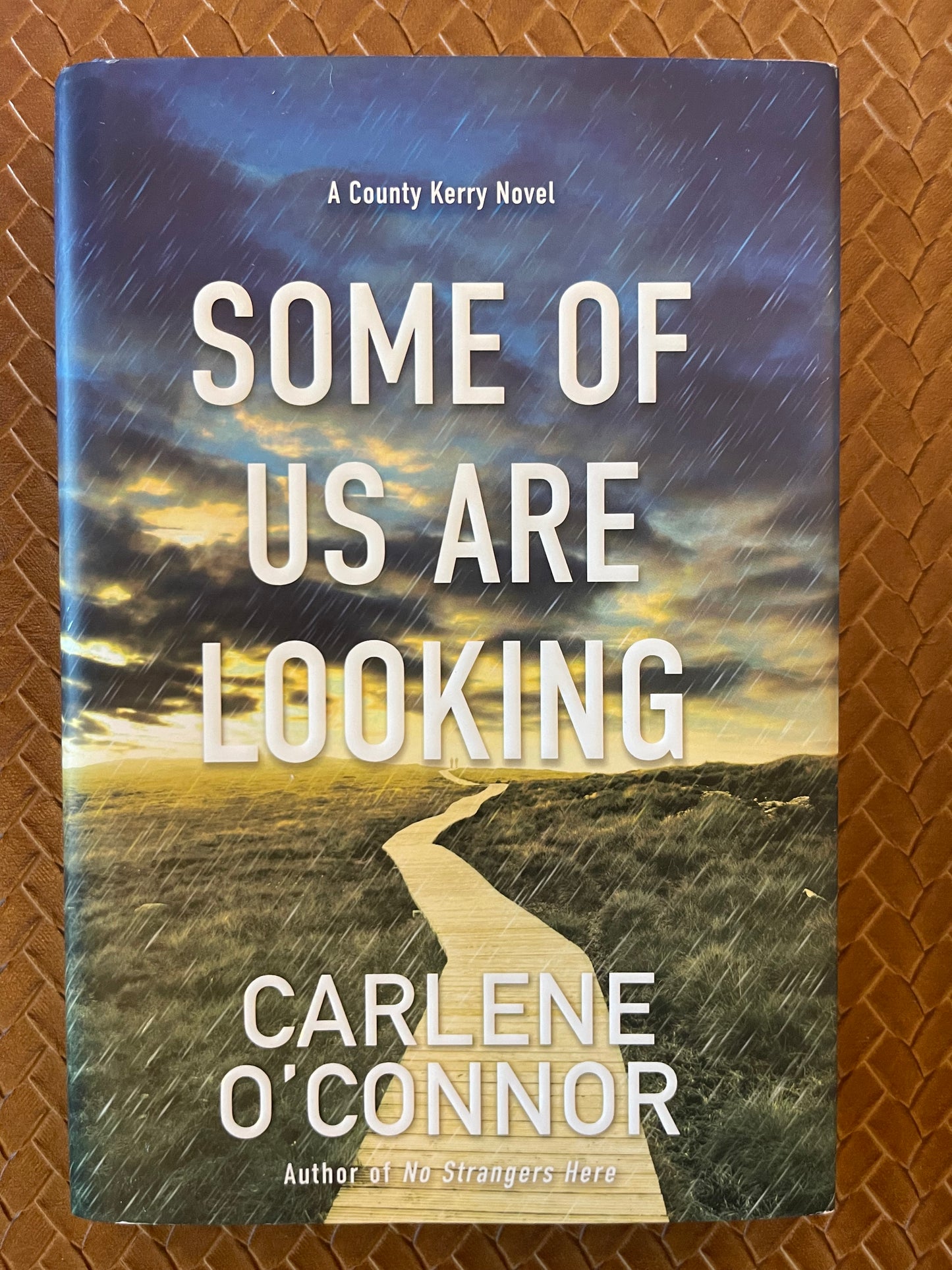 County Kerry Mystery #2: Some of Us Are Looking by Carlene O'Connor (Hardcover)