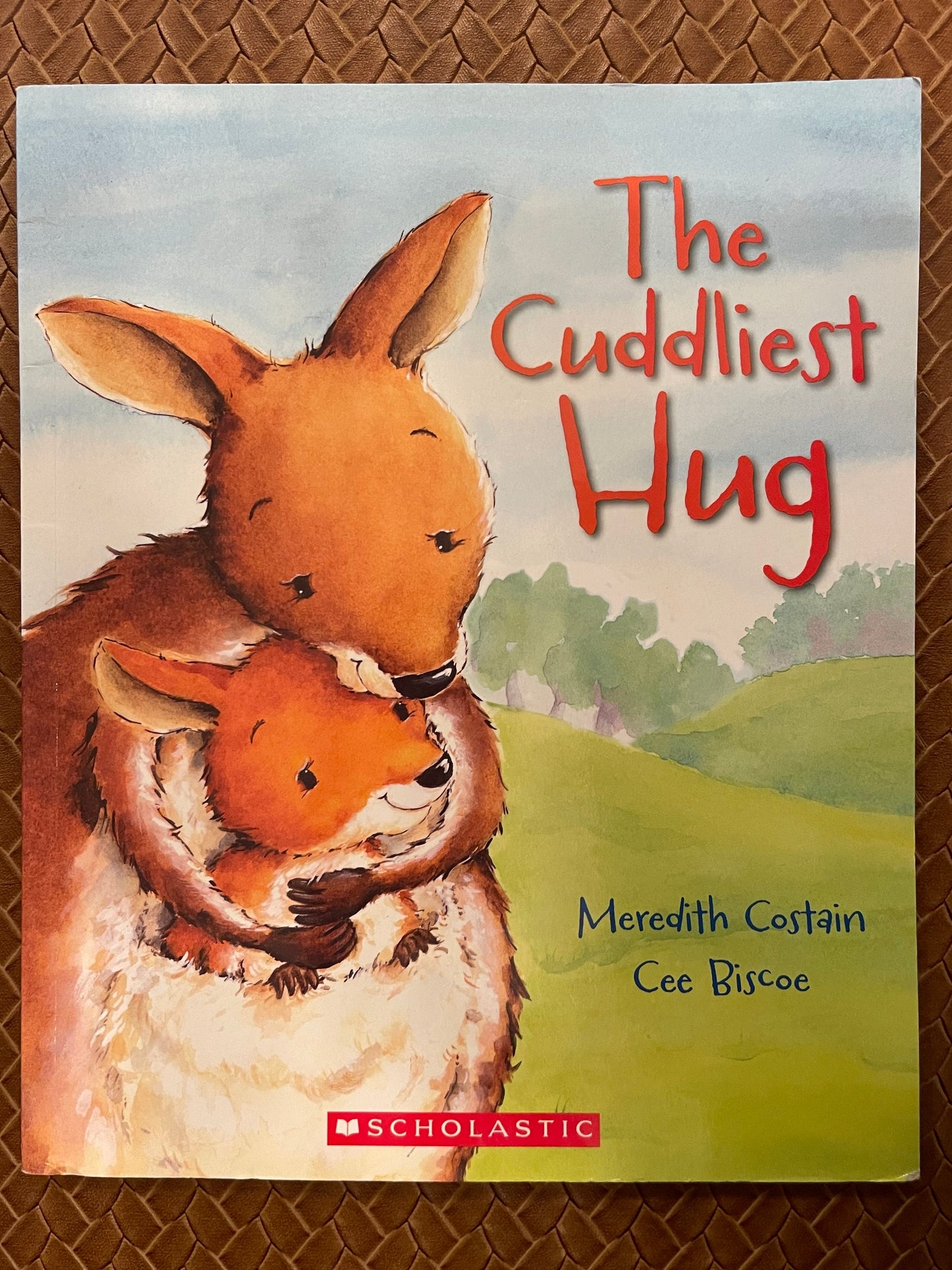 The Cuddliest Hug by Meredith Costain