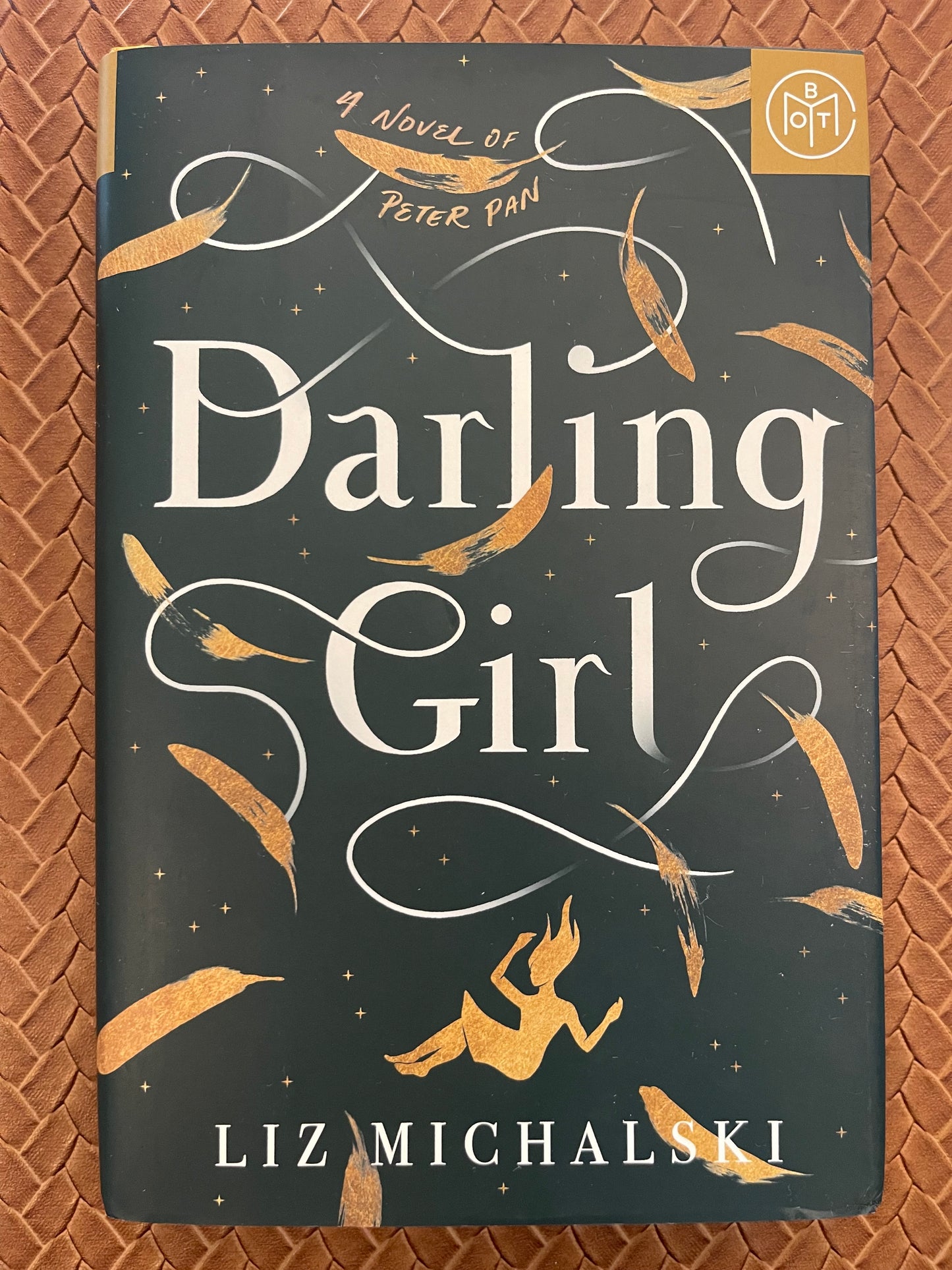 Darling Girl by Liz Michalski (Hardcover)