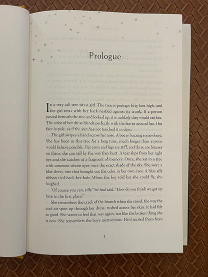 Darling Girl by Liz Michalski (Hardcover)