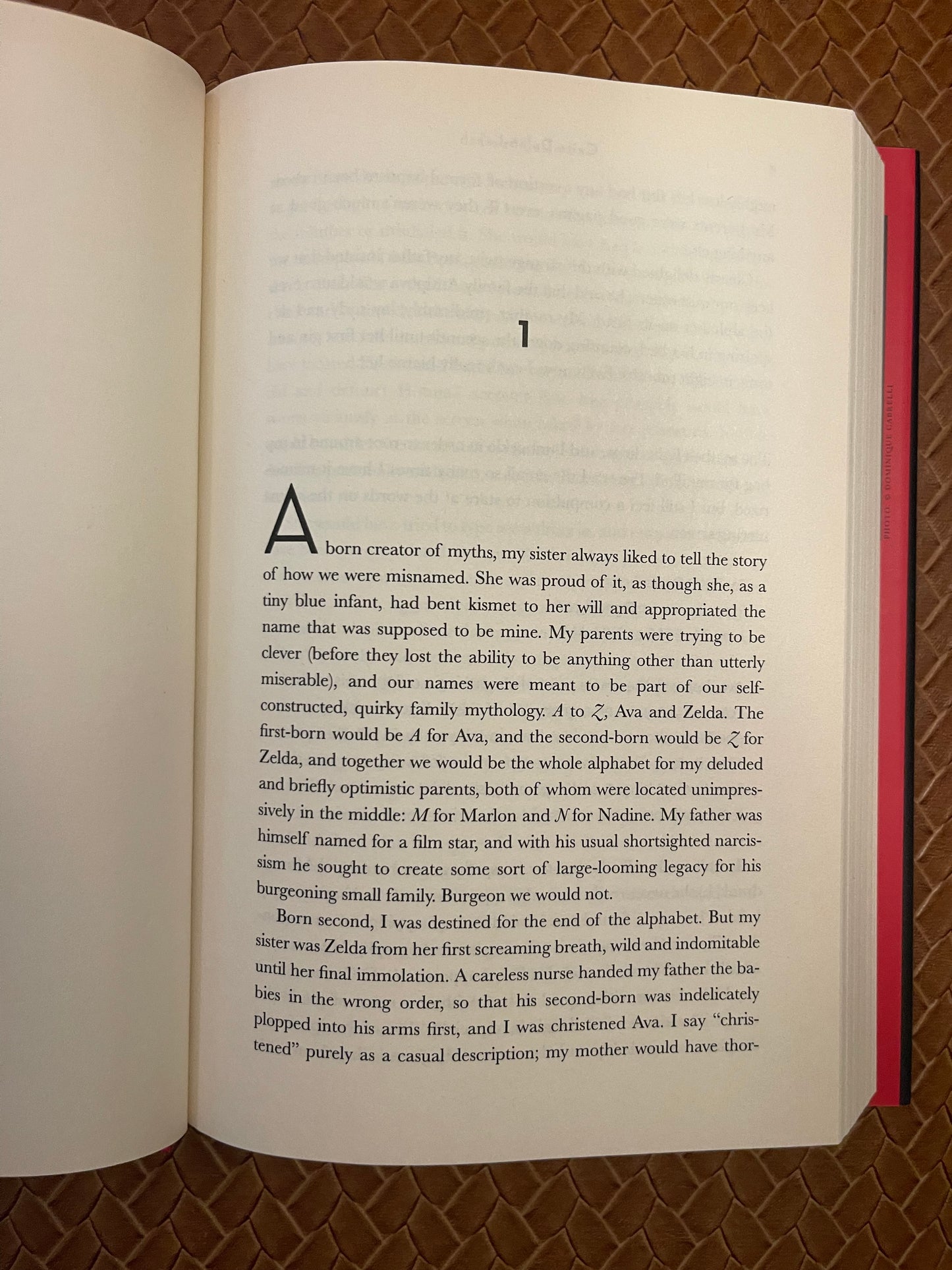 Dead Letters by Caite Dolan-Leach (Hardcover)